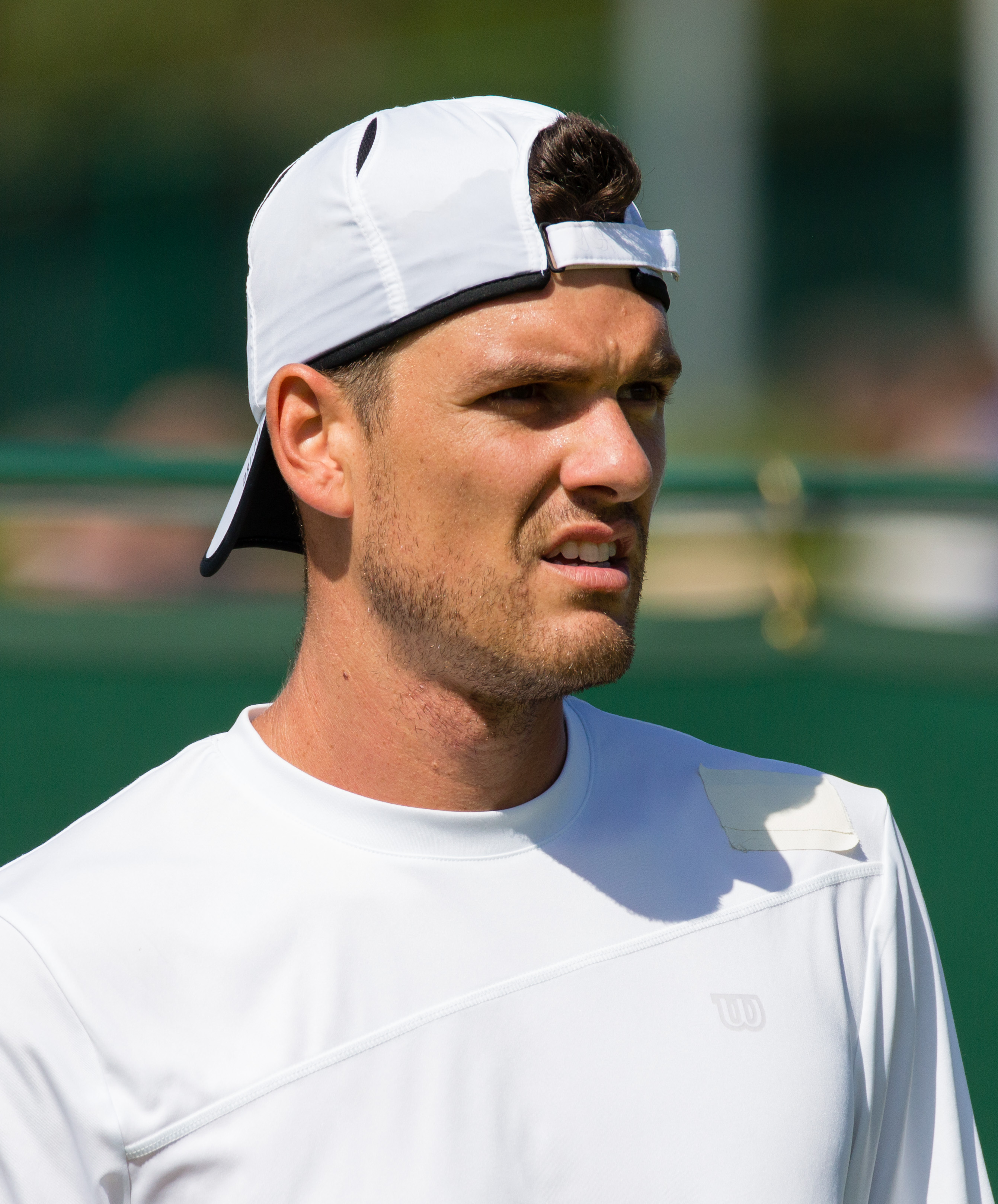 Frank Dancevic Net Worth 2018: What is this tennis player worth?