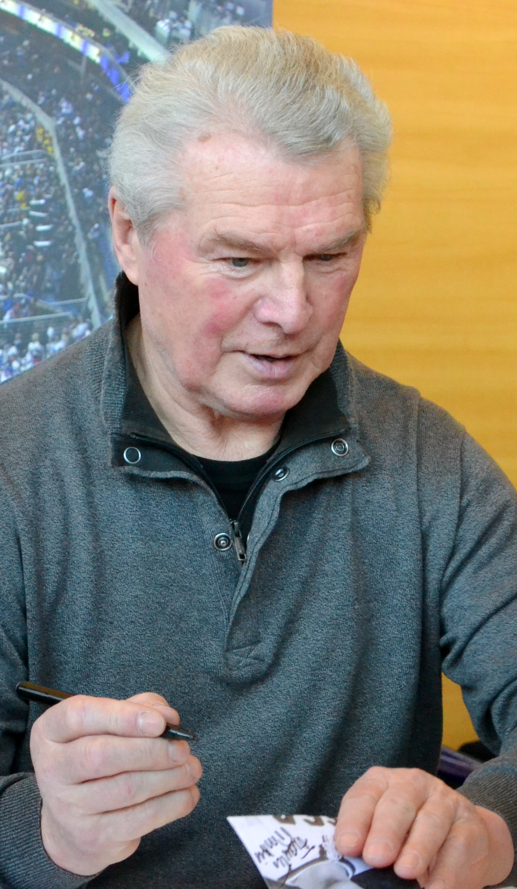František Pospíšil Net Worth 2018: What is this ice hockey player worth?