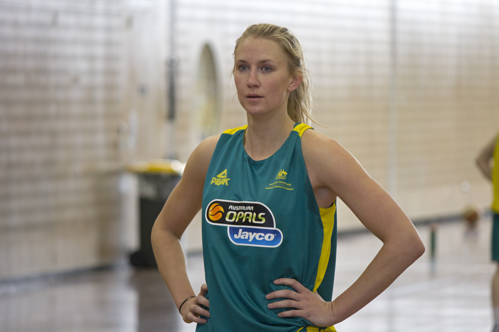 Hanna Zavecz Net Worth 2018: What is this basketball player worth?