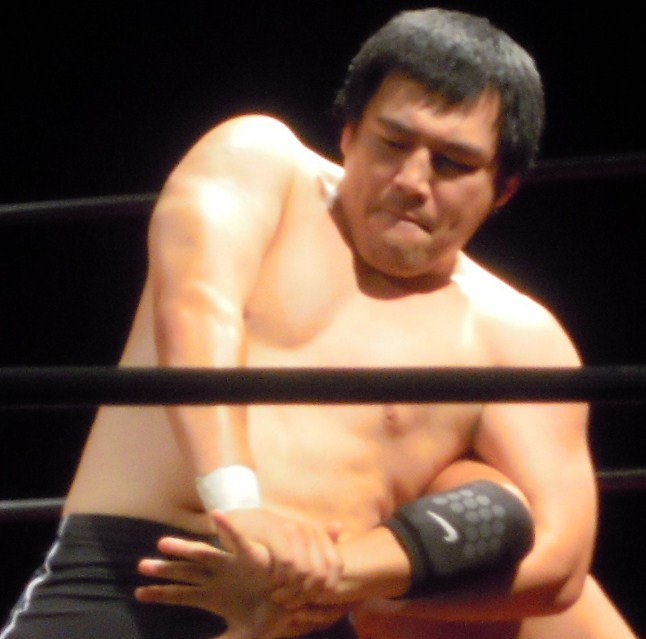 Hikaru Sato Net Worth 2018: What is this wrestler worth?