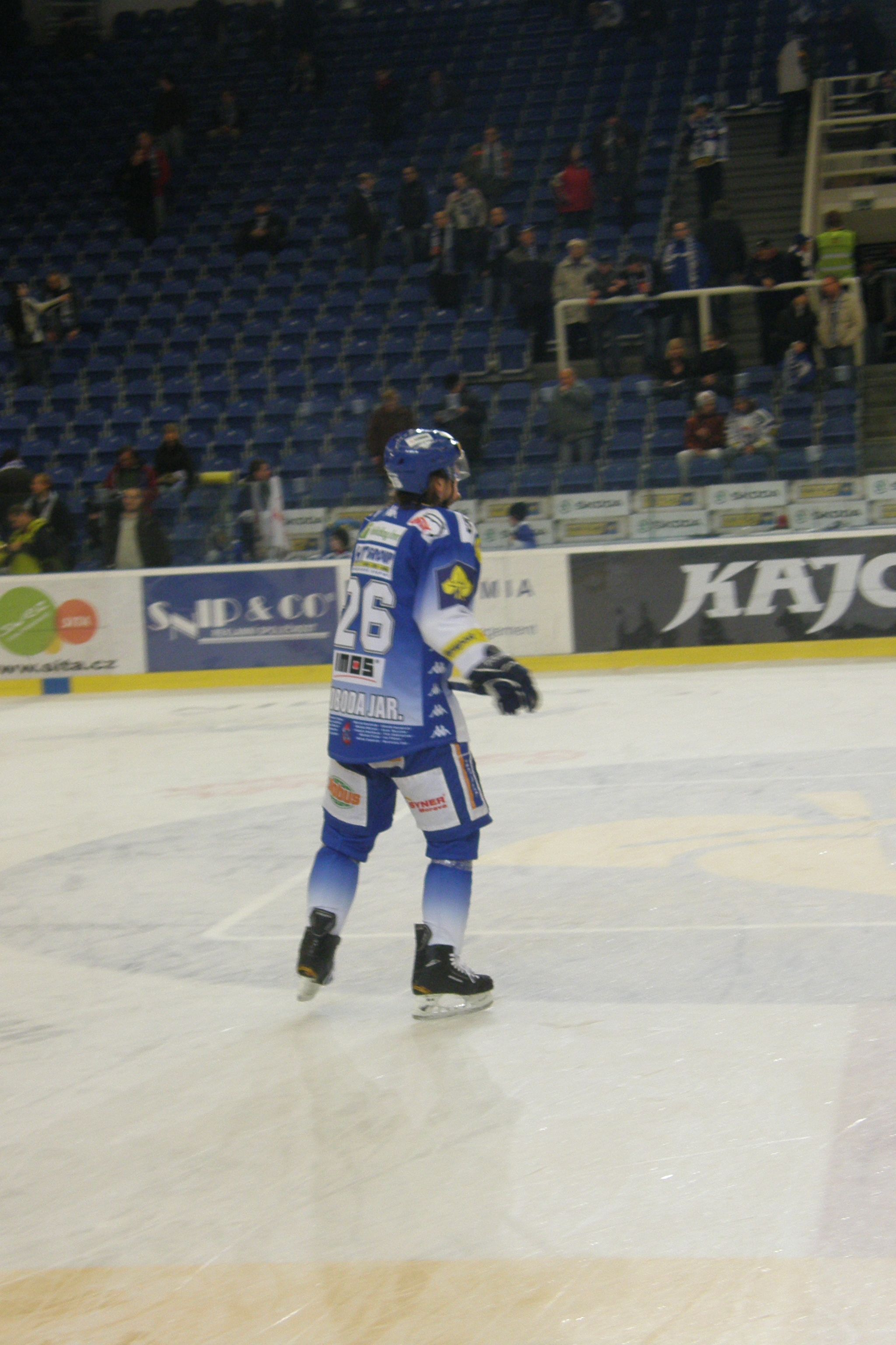Jaroslav Svoboda Net Worth 2018: What is this ice hockey player worth?