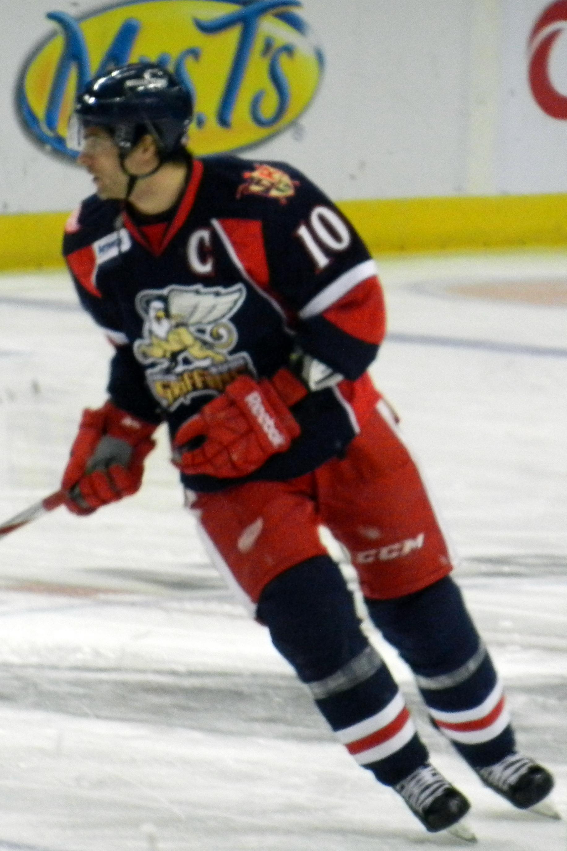 Jeff Hoggan Net Worth 2018: What is this ice hockey player worth?