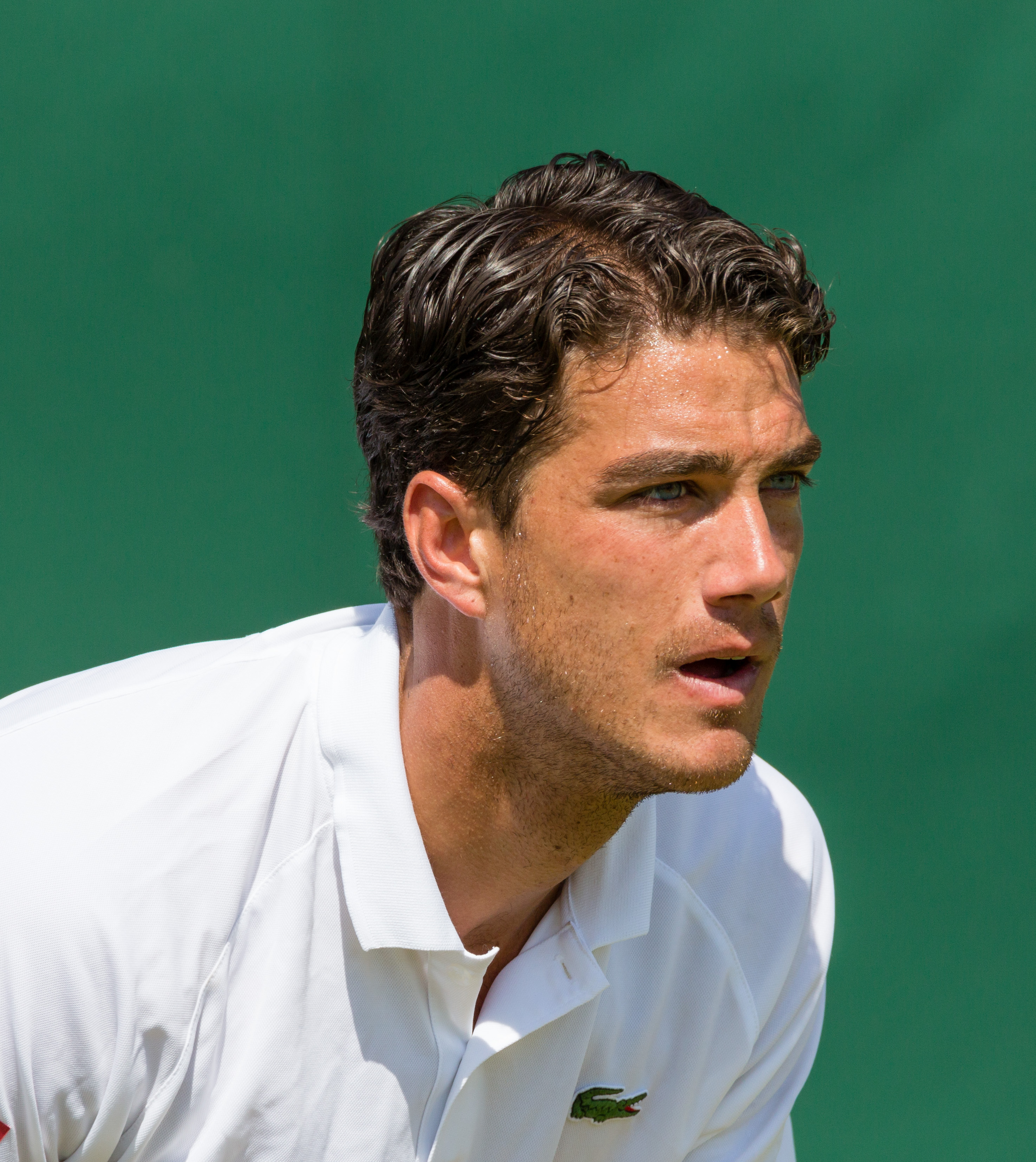 Jesse Huta Galung Net Worth 2018: What is this tennis player worth?