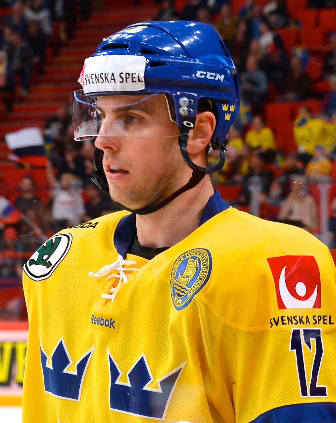 Joakim Lindström Net Worth 2018: What is this ice hockey player worth?
