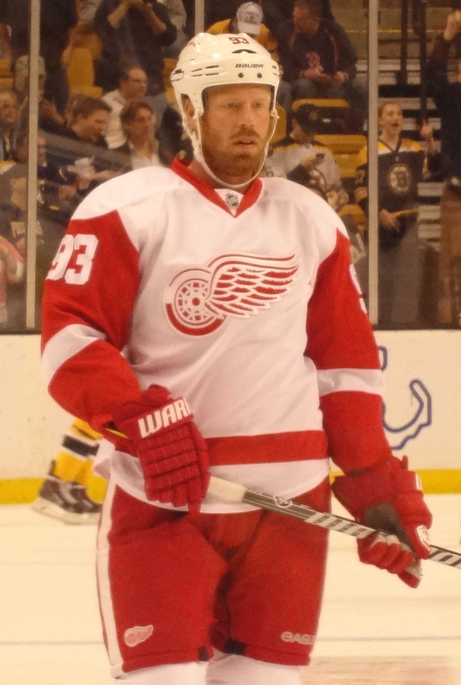 Johan Franzén Net Worth 2018: What is this ice hockey player worth?
