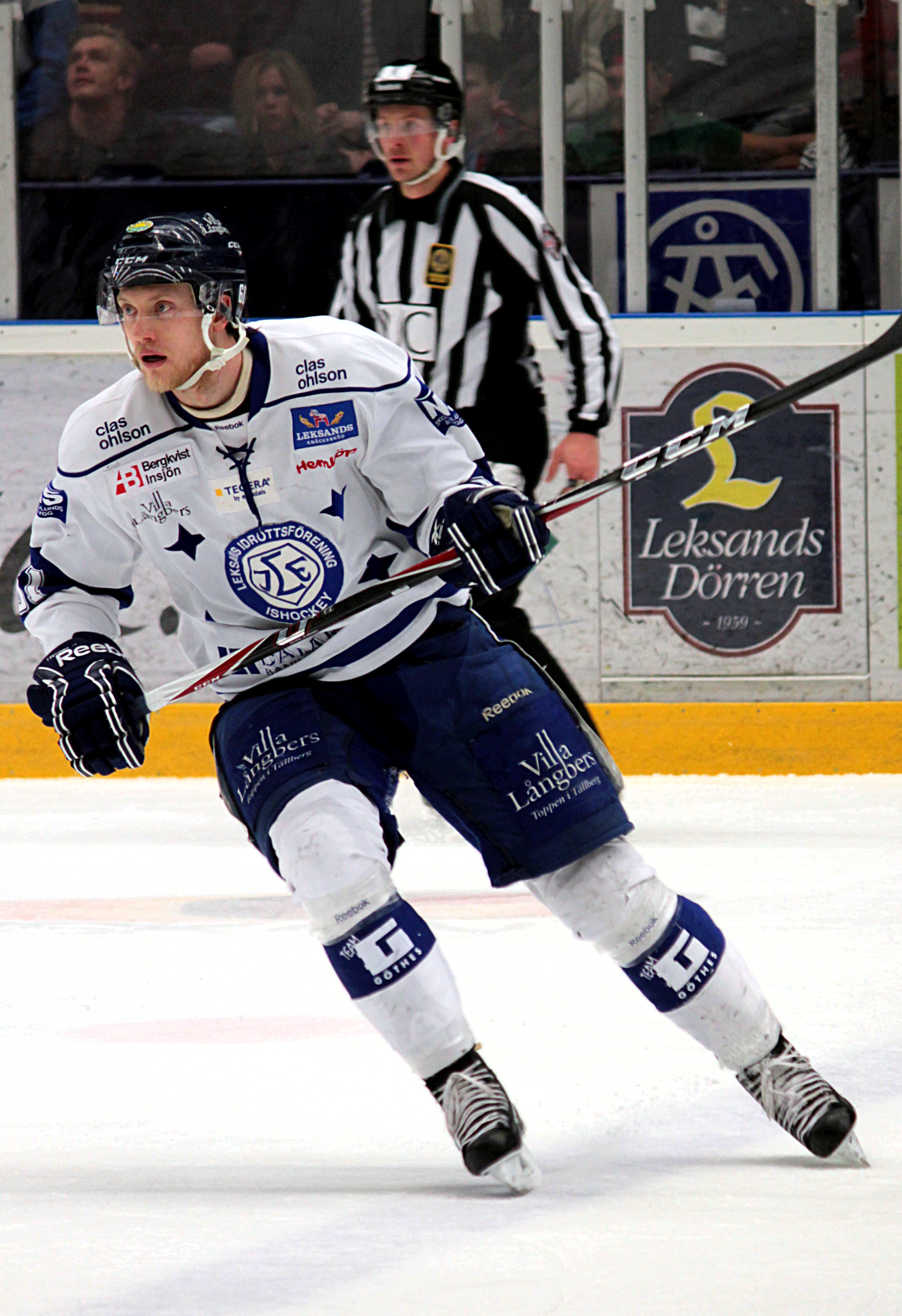 Johan Ryno Net Worth 2018: What is this ice hockey player worth?