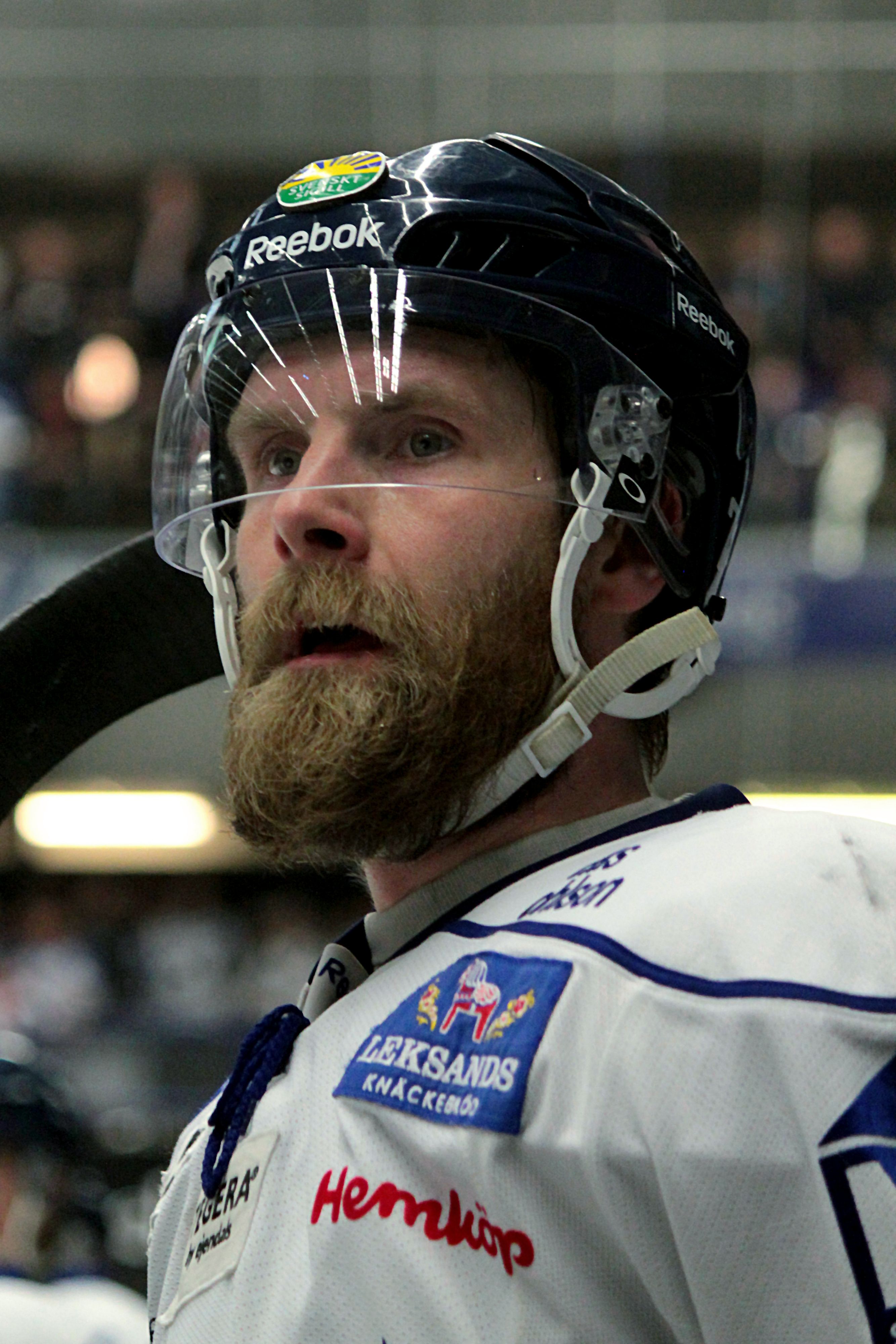 Johan Svedberg Net Worth 2018: What is this ice hockey player worth?