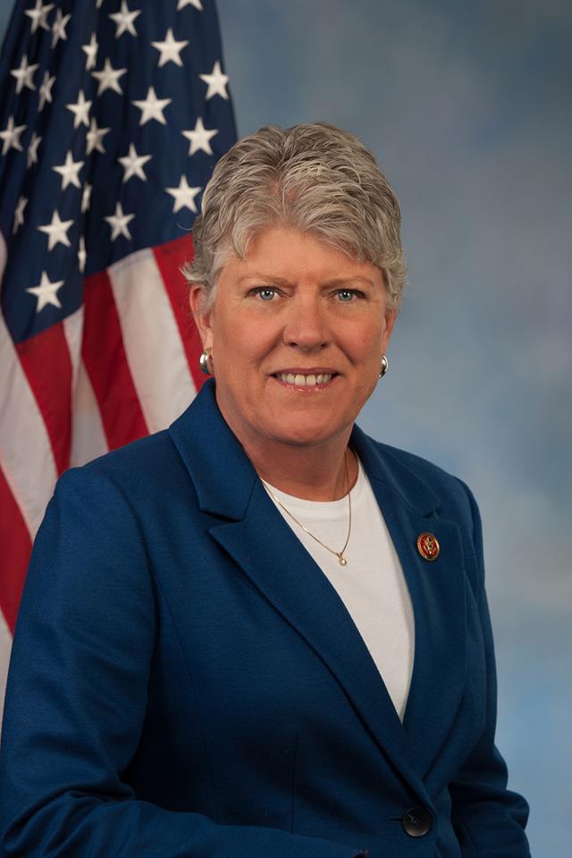 Julia Brownley Net Worth 2018: What is this U.S. Government Official worth?