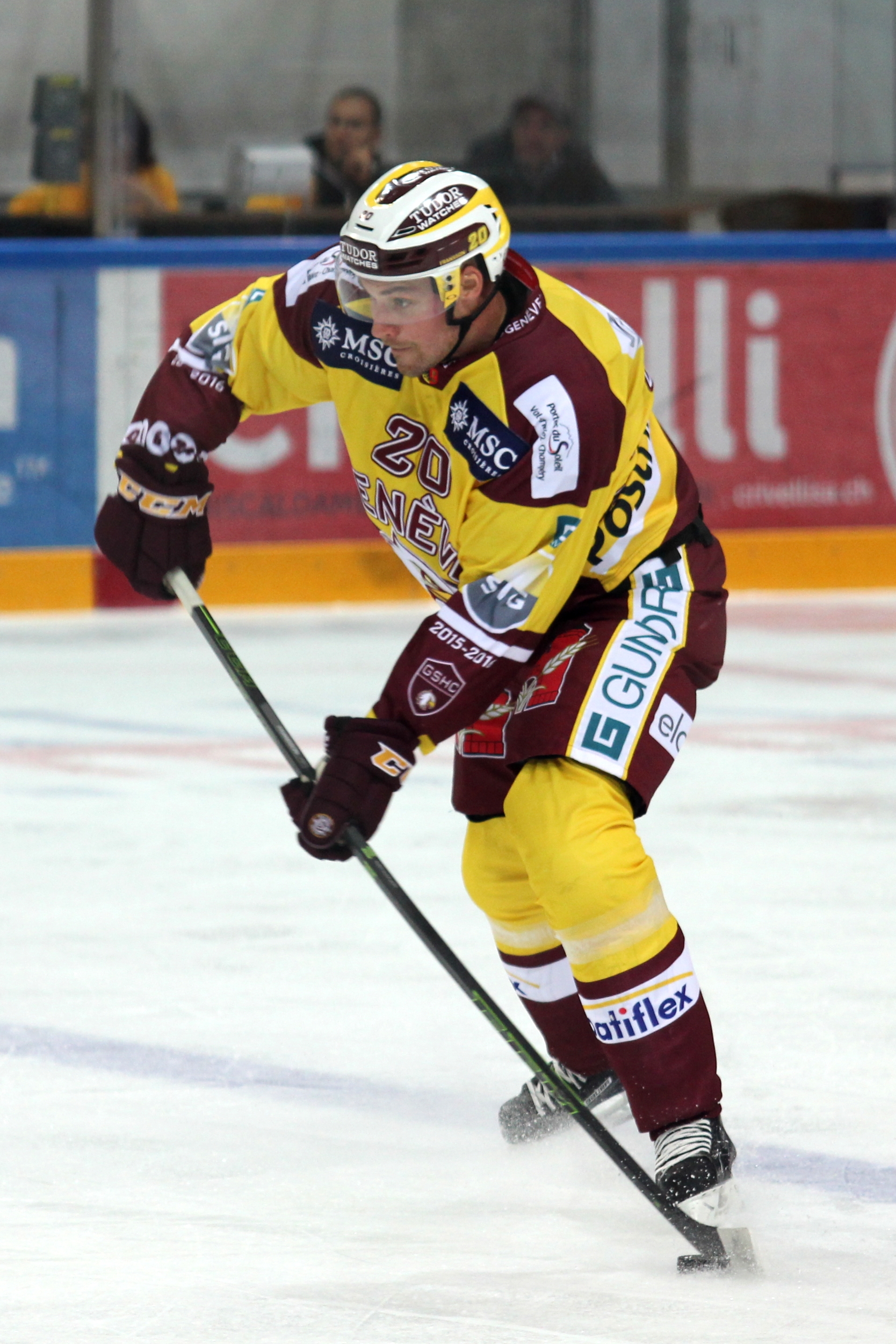Johan Fransson Net Worth 2018: What is this ice hockey player worth?