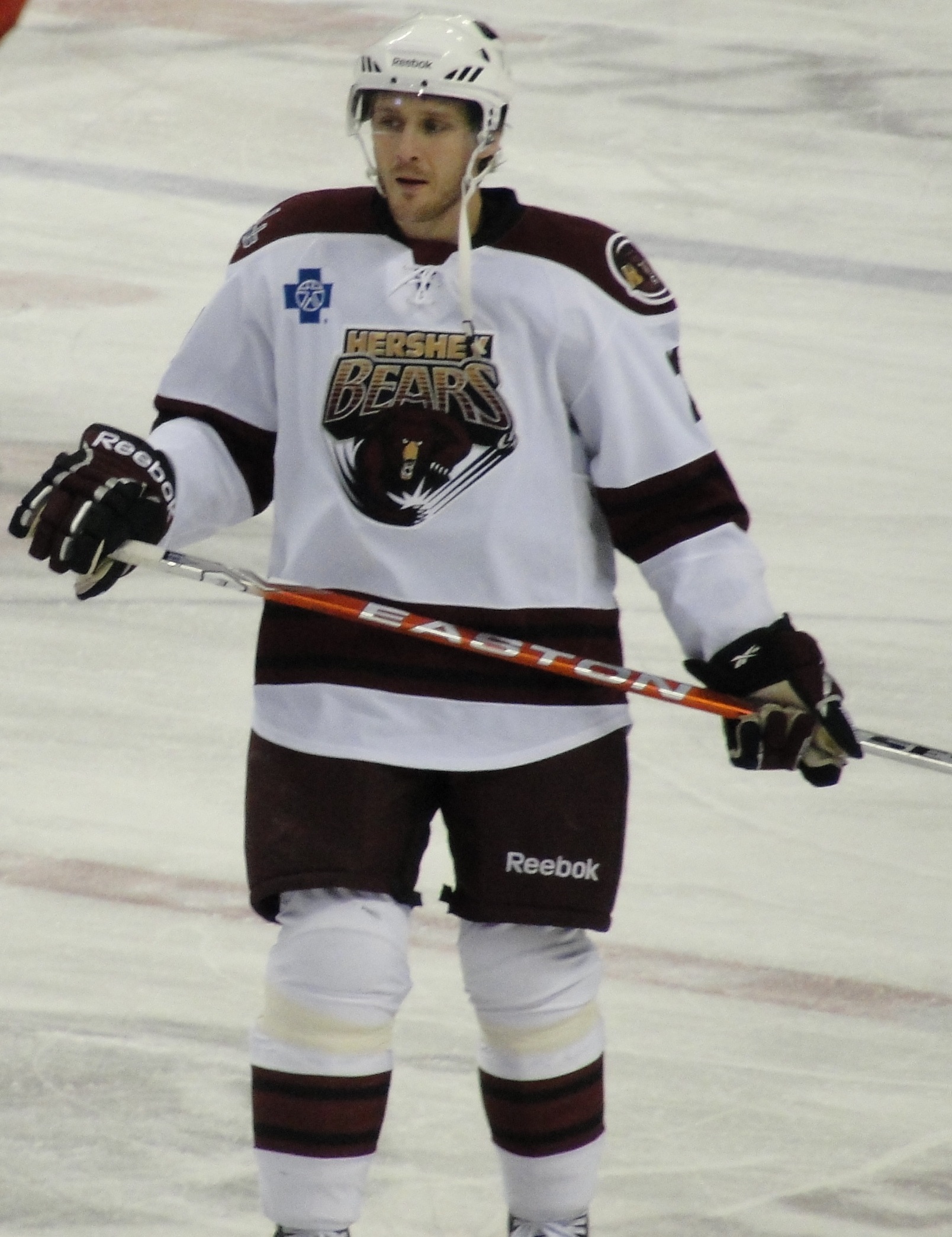 Lawrence Nycholat Net Worth 2018: What is this ice hockey player worth?