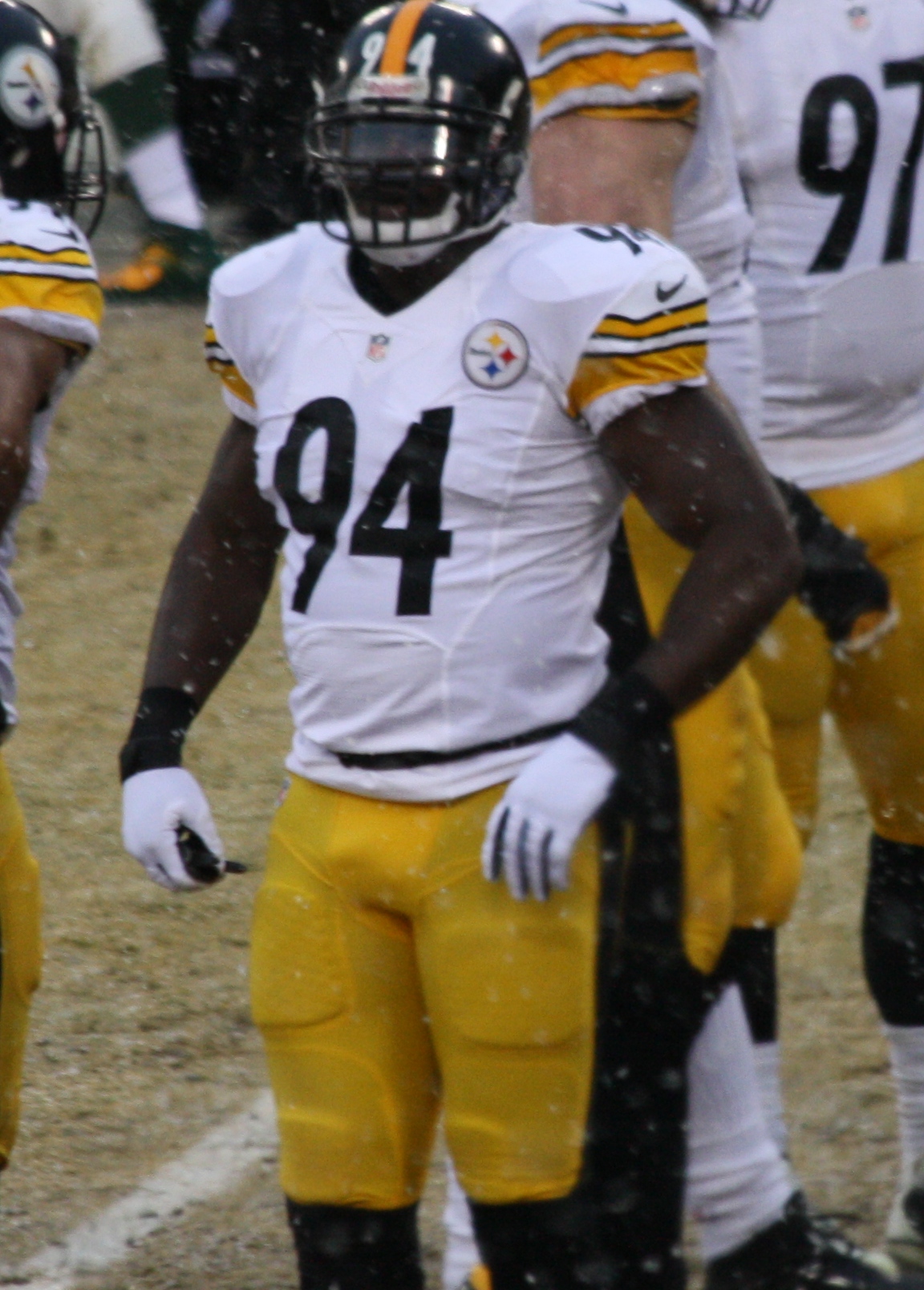 Lawrence Timmons Net Worth 2018: What is this NFL football player worth?