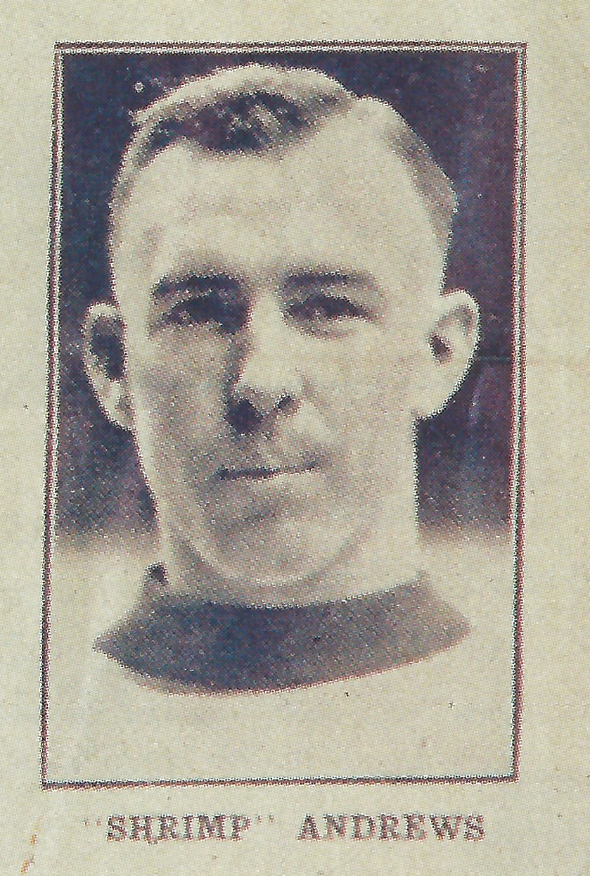 Lloyd Andrews Net Worth 2018: What is this ice hockey player worth?
