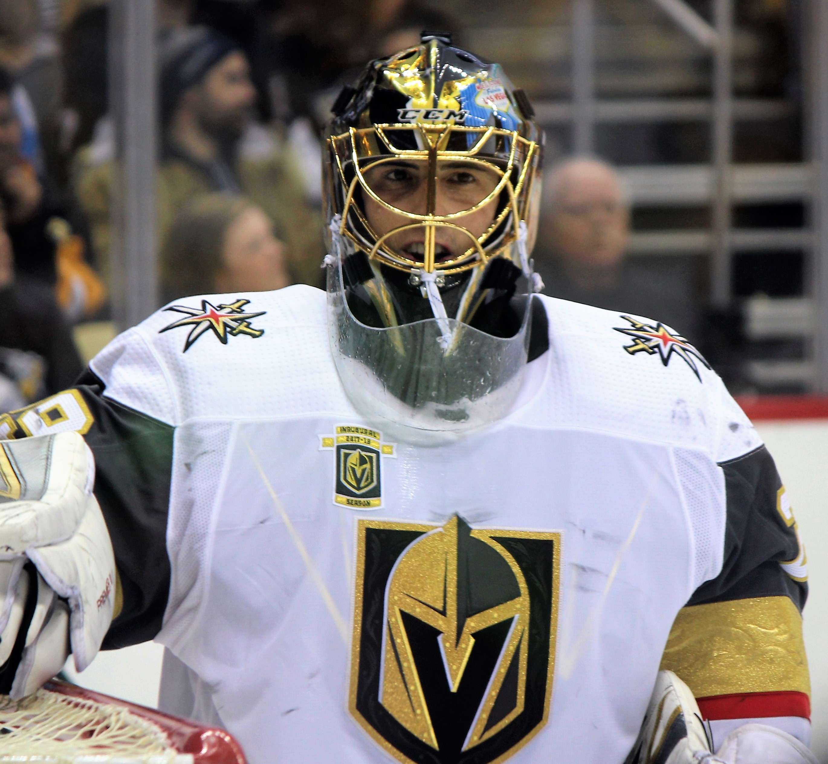 Marc-André Fleury Net Worth 2018: What is this ice hockey player worth?