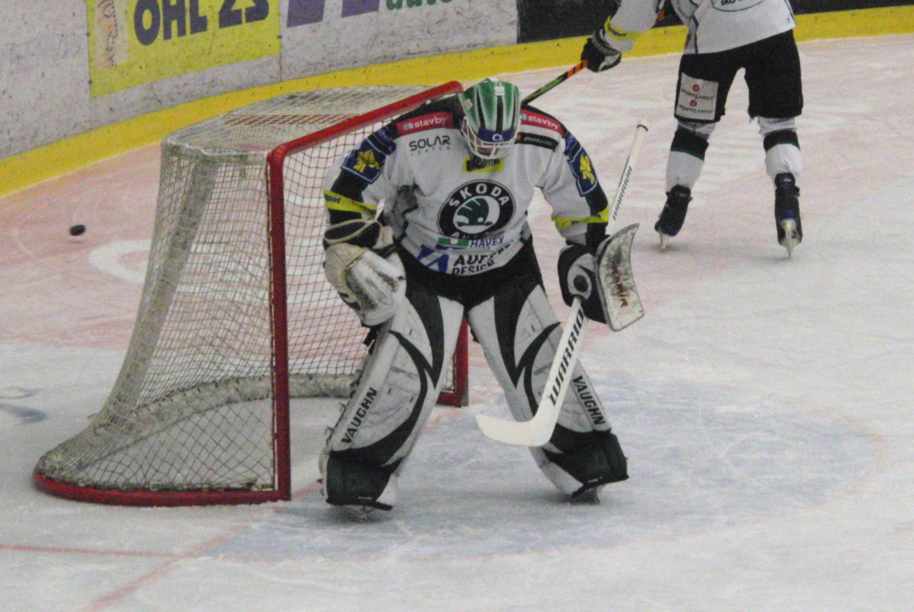 Marek Schwarz Net Worth 2018: What is this ice hockey player worth?