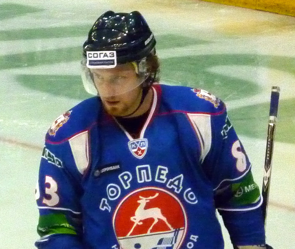 Matt Ellison Net Worth 2018: What is this ice hockey player worth?