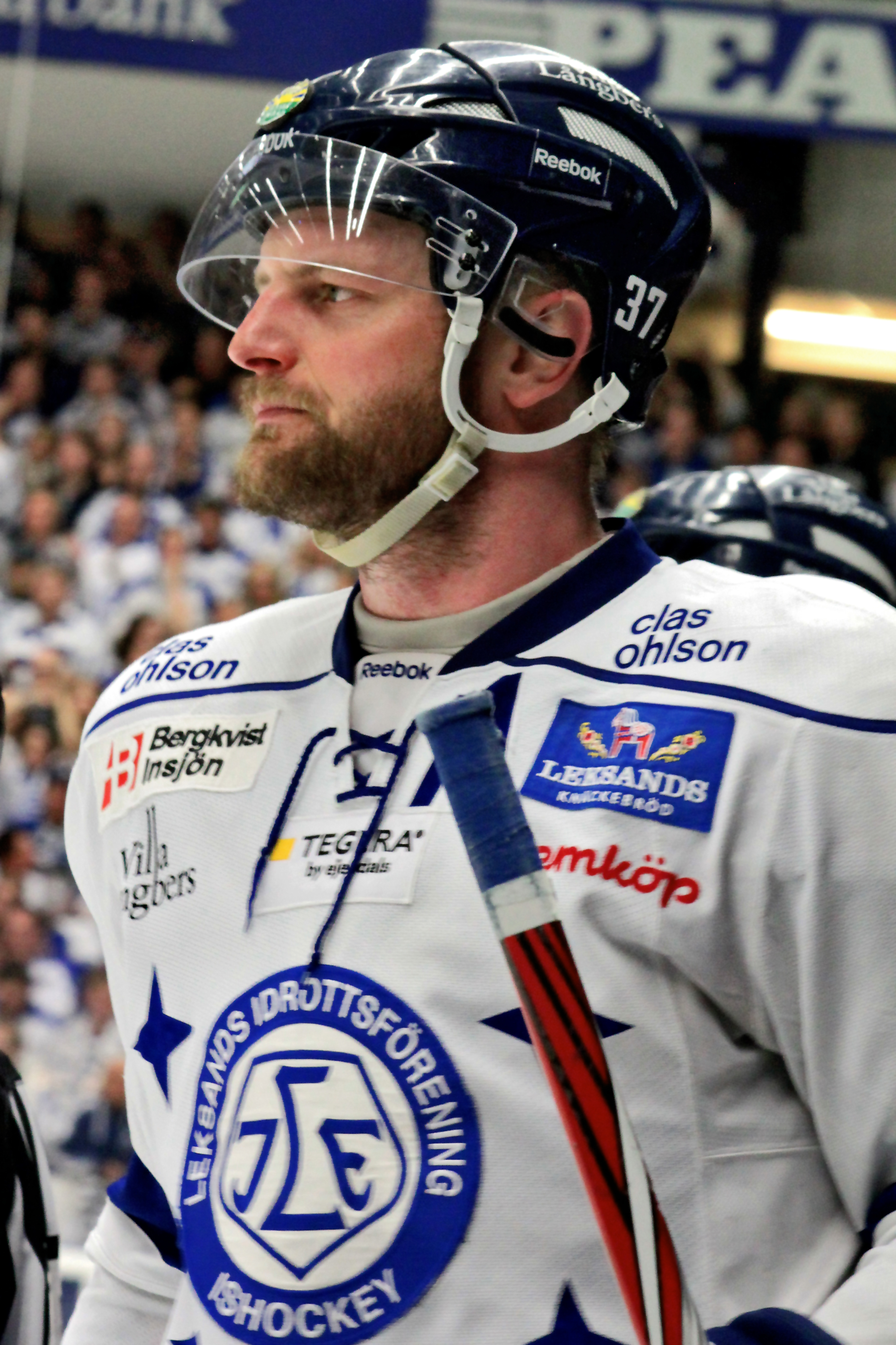 Mattias Timander Net Worth 2018: What is this ice hockey player worth?