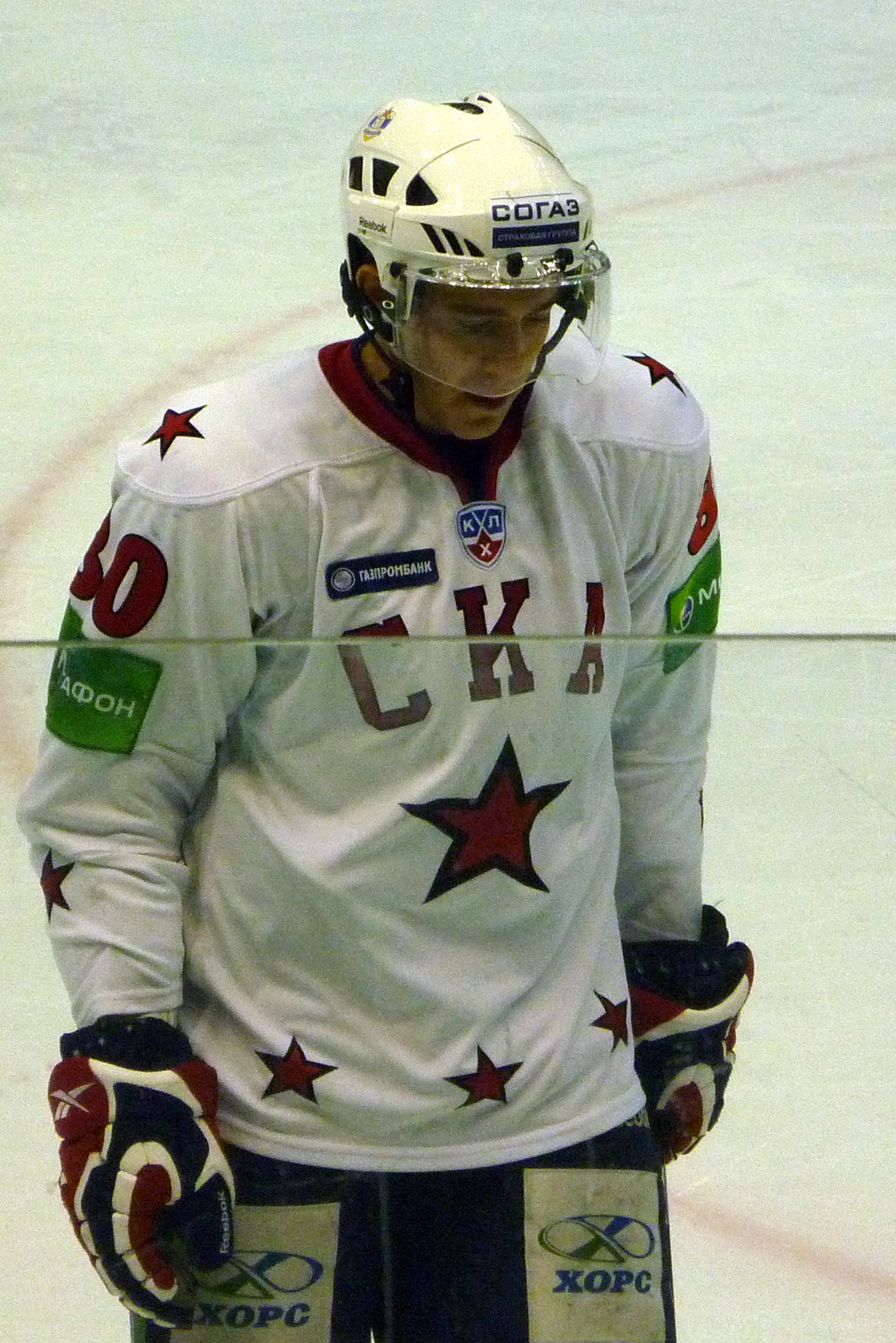 Mattias Weinhandl Net Worth 2018: What is this ice hockey player worth?