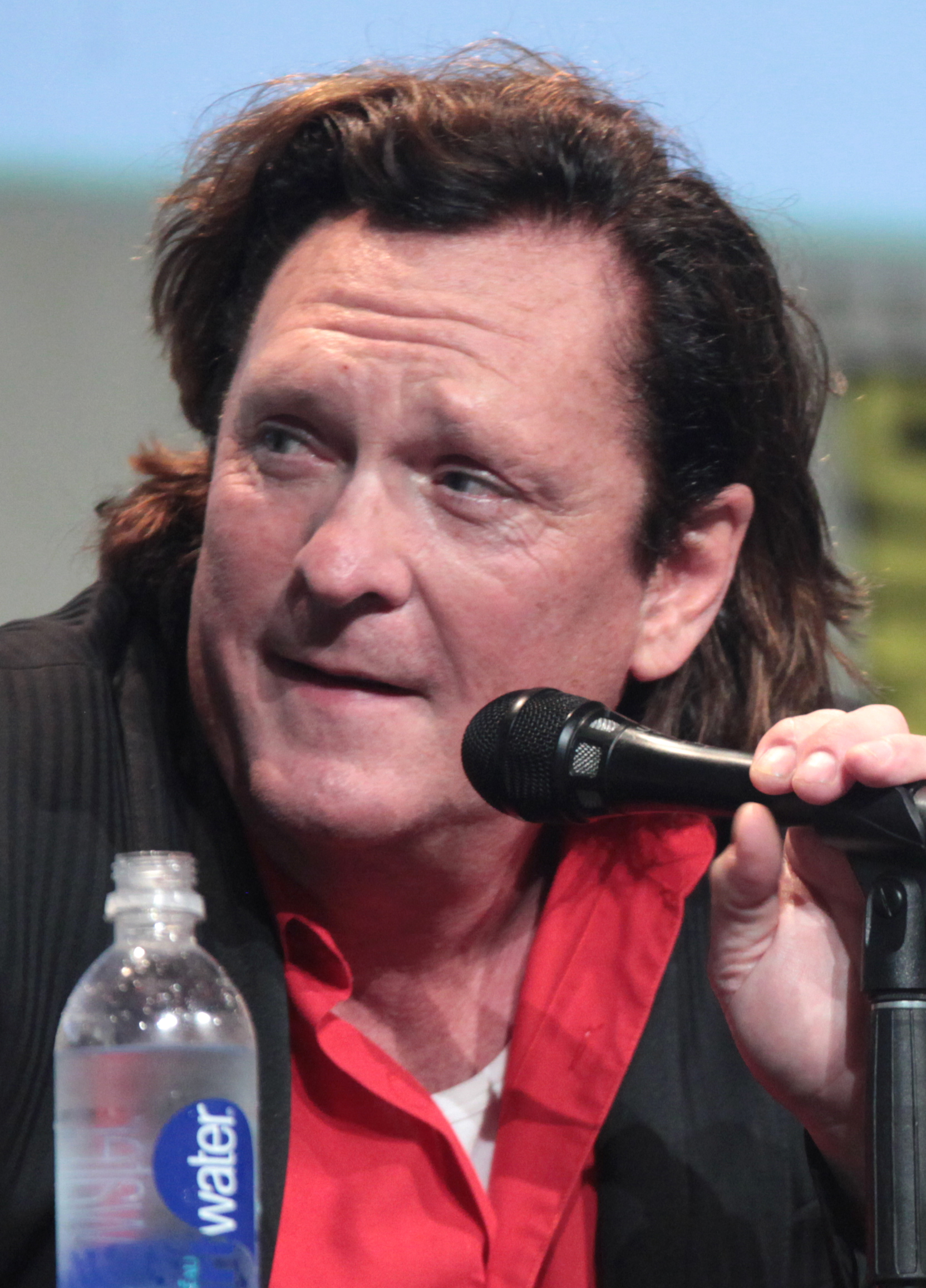 Michael Madsen Net Worth 2018: What is this ice hockey player worth?
