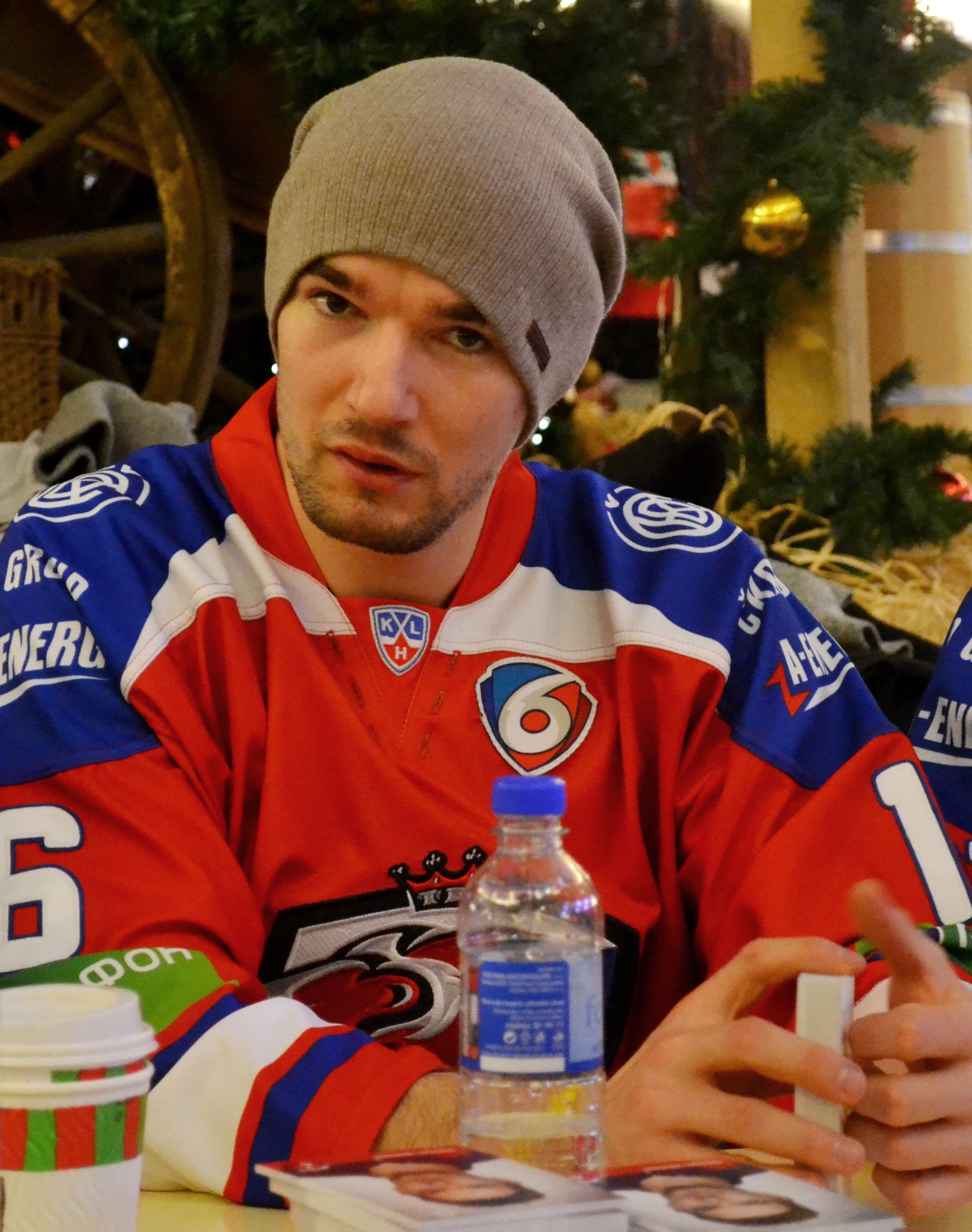 Michal Birner Net Worth 2018: What is this ice hockey player worth?