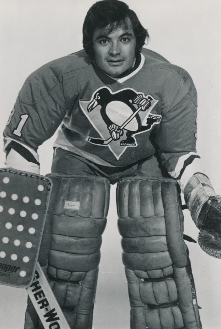 Michel Plasse Net Worth 2018: What is this ice hockey player worth?