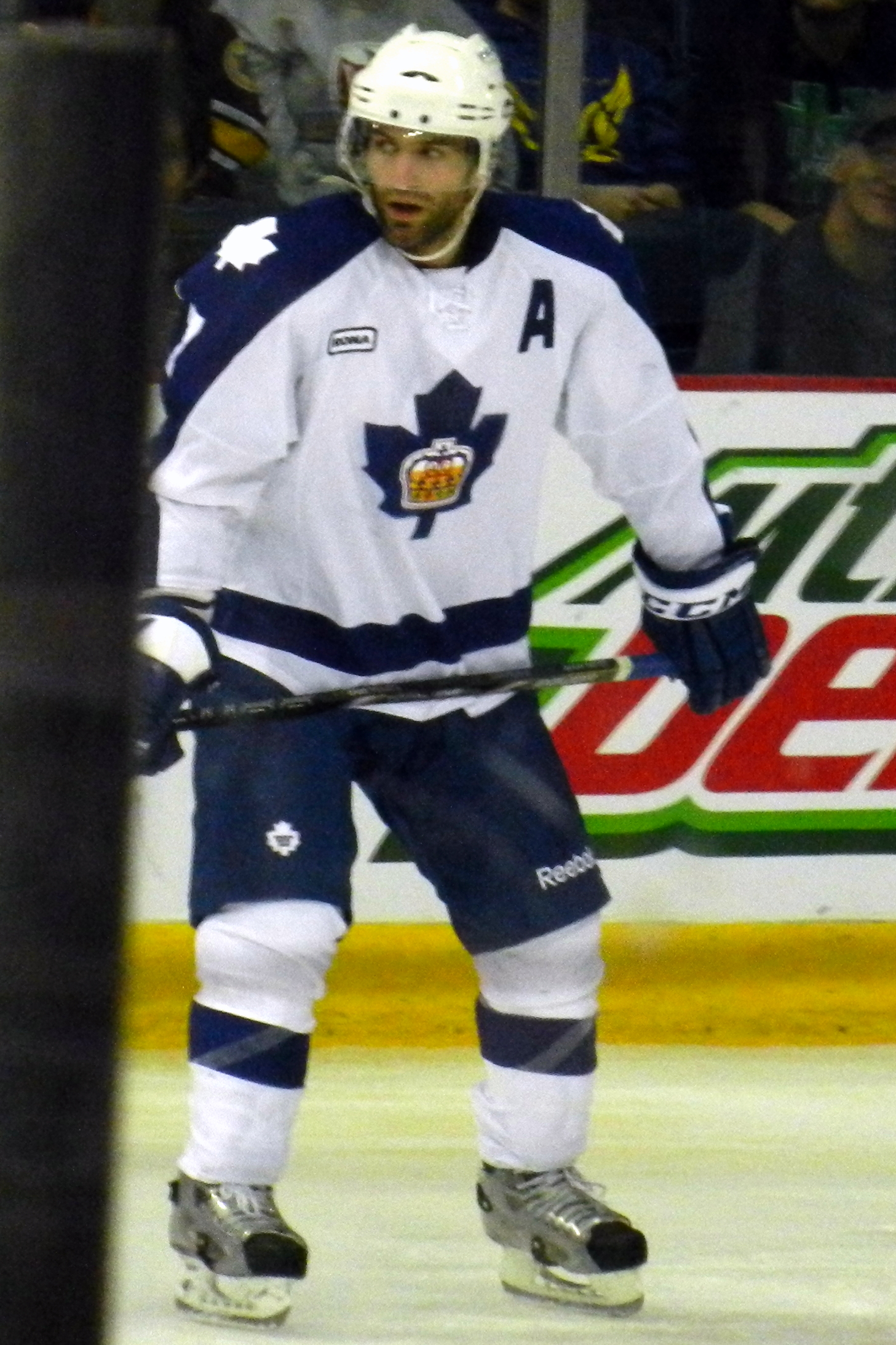 Michael Zigomanis Net Worth 2018: What is this ice hockey player worth?