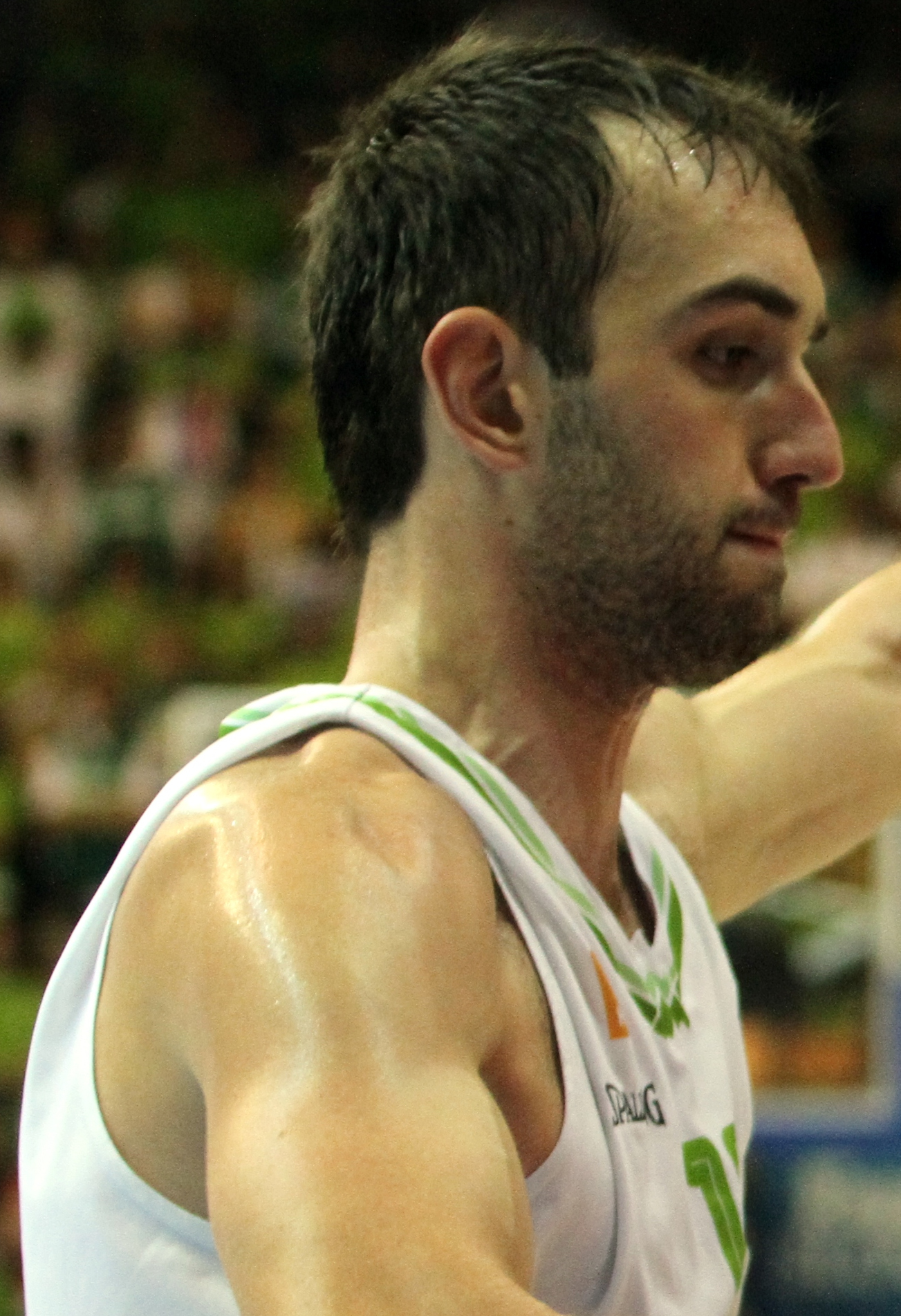 Mirza Begić Net Worth 2018: What is this basketball player worth?