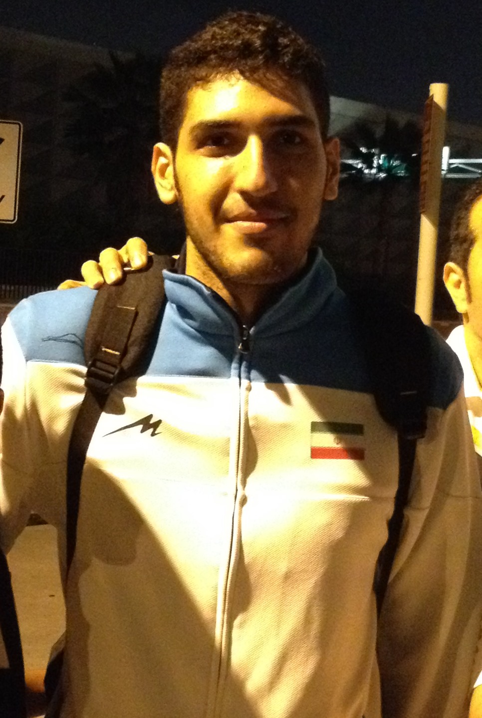 Mohammad Javad Manavinejad Net Worth 2018: What is this volleyball player worth?