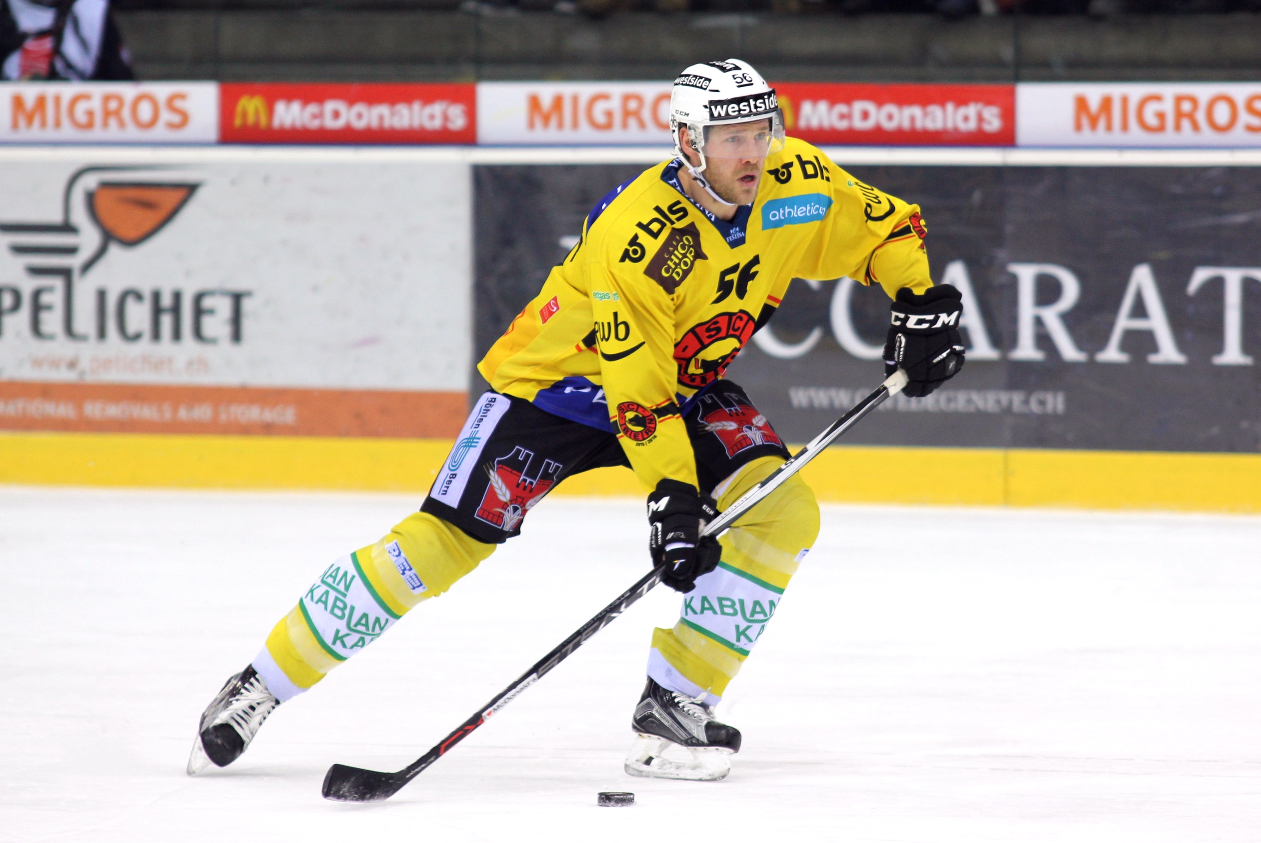 Timo Helbling Net Worth 2018: What is this ice hockey player worth?