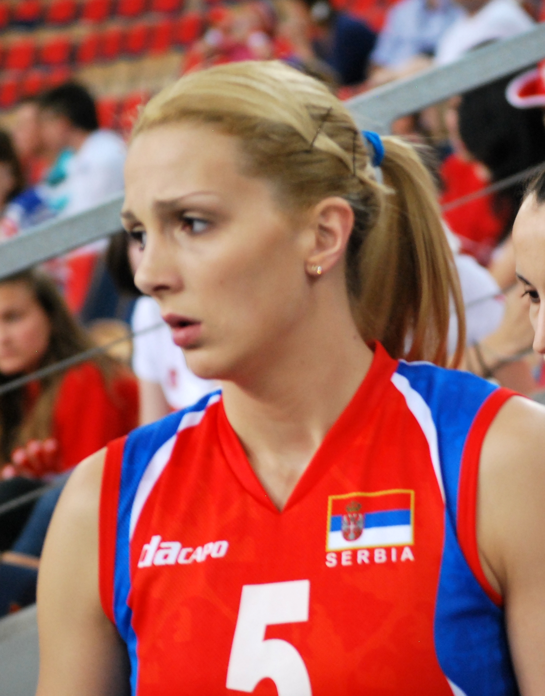 Nataša Krsmanović Net Worth 2018: What is this volleyball player worth?