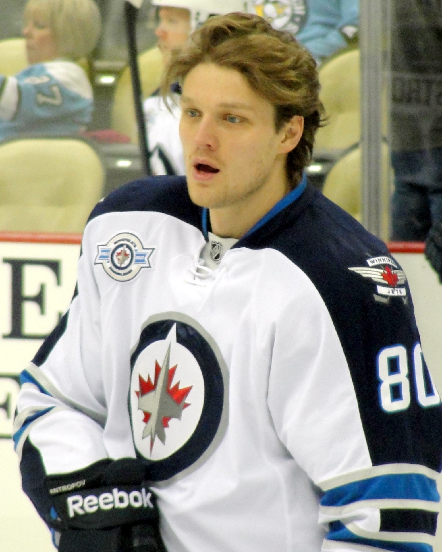 Nik Antropov Net Worth 2018: What is this ice hockey player worth?