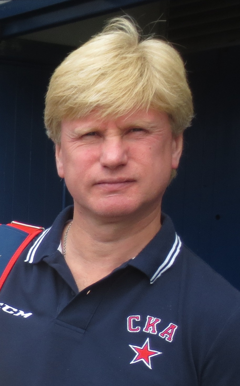 Nikolai Borschevsky Net Worth 2018: What is this ice hockey player worth?