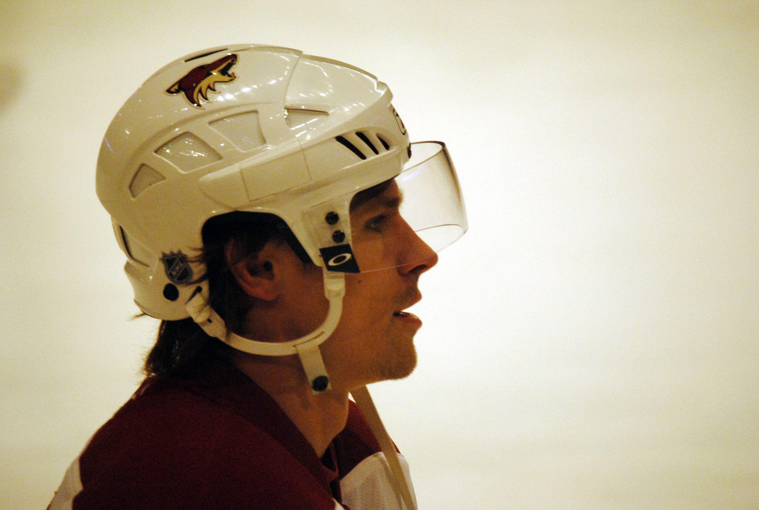 Petr Průcha Net Worth 2018: What is this ice hockey player worth?