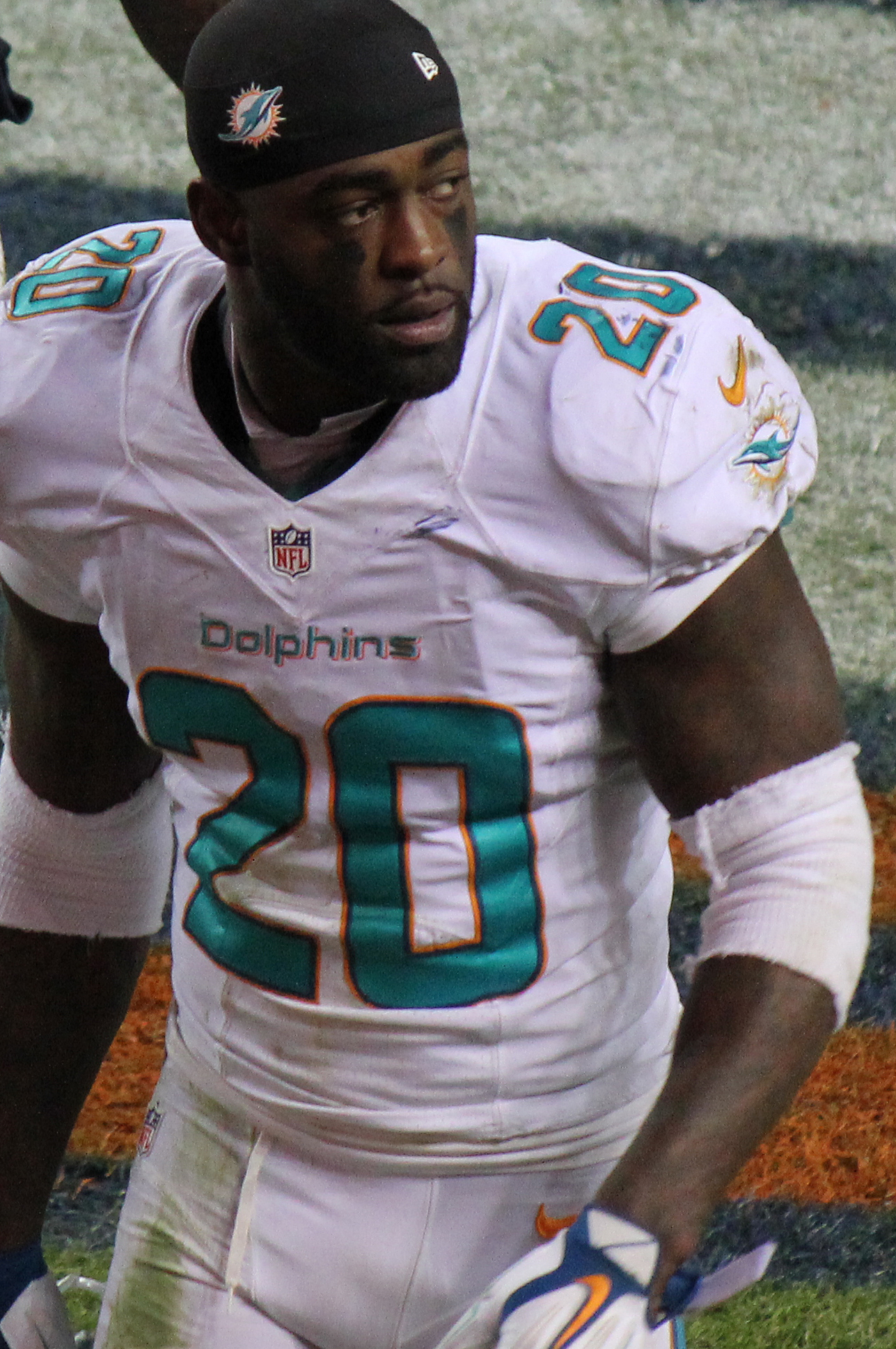 Reshad Jones Net Worth 2018: What is this NFL football player worth?
