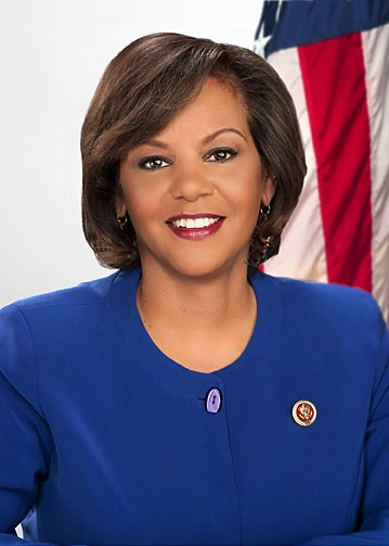 Robin Kelly Net Worth 2018: What is this U.S. Government Official worth?