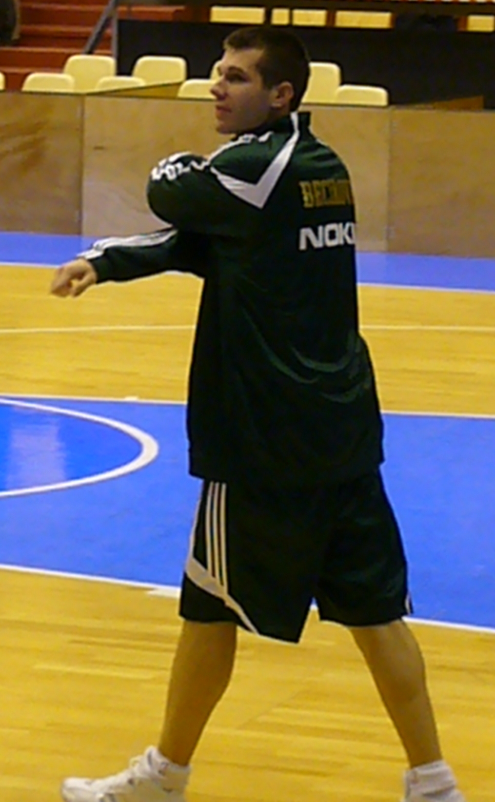 Sani Bečirovič Net Worth 2018: What is this basketball player worth?