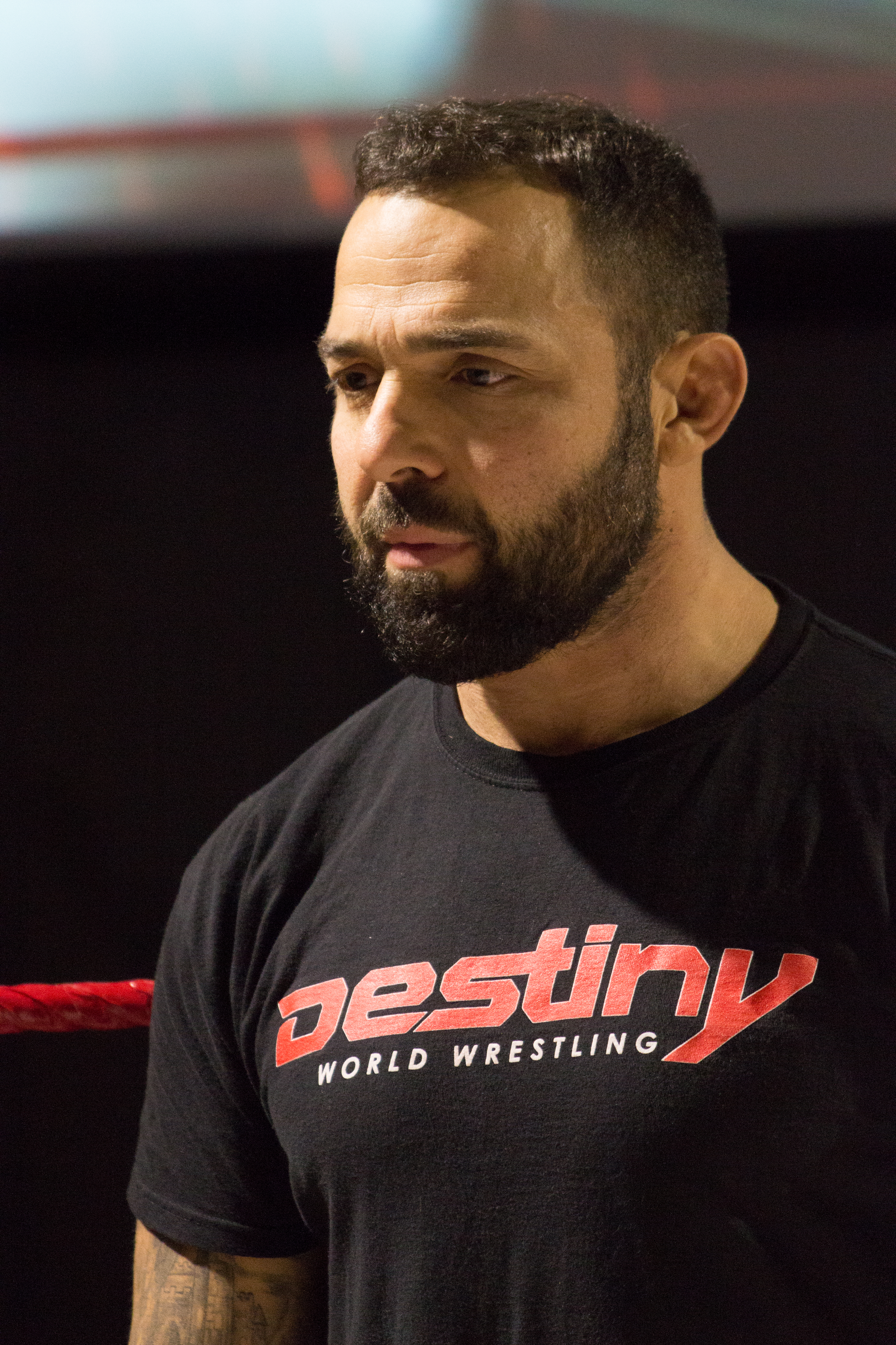 Santino Marella Net Worth 2018: What is this wrestler worth?