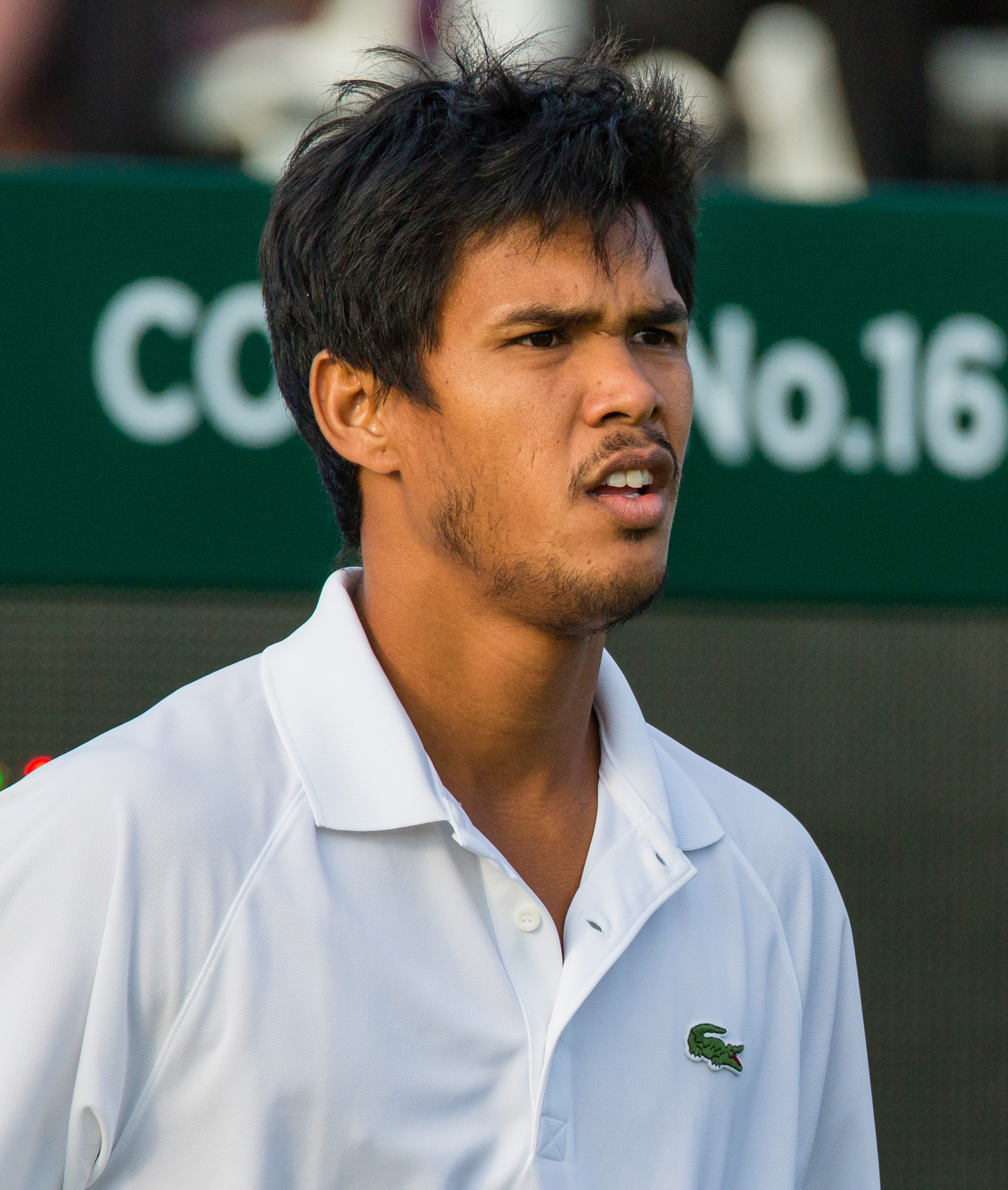 Somdev Devvarman Net Worth 2018: What is this tennis player worth?