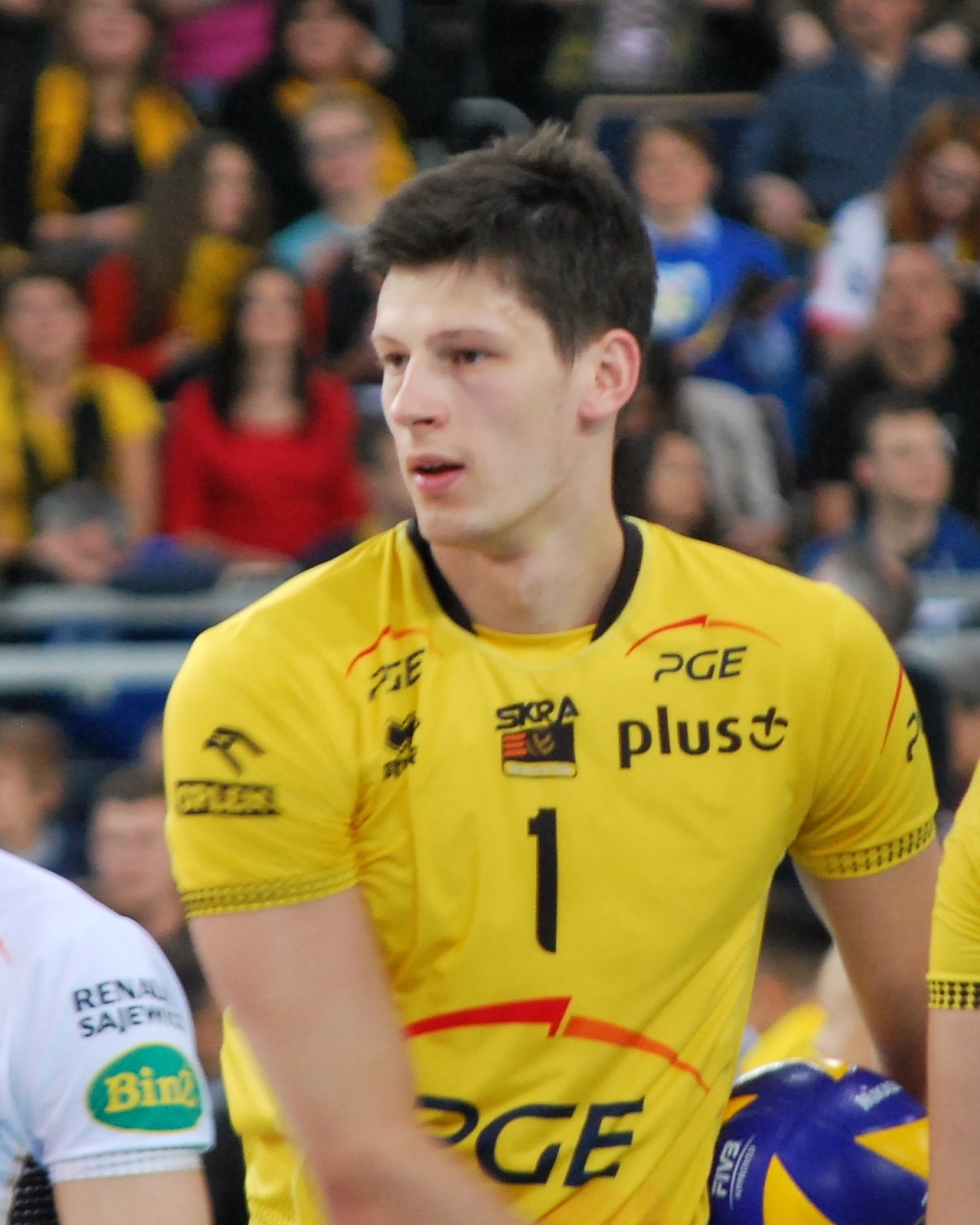 Srecko Lisinac Net Worth