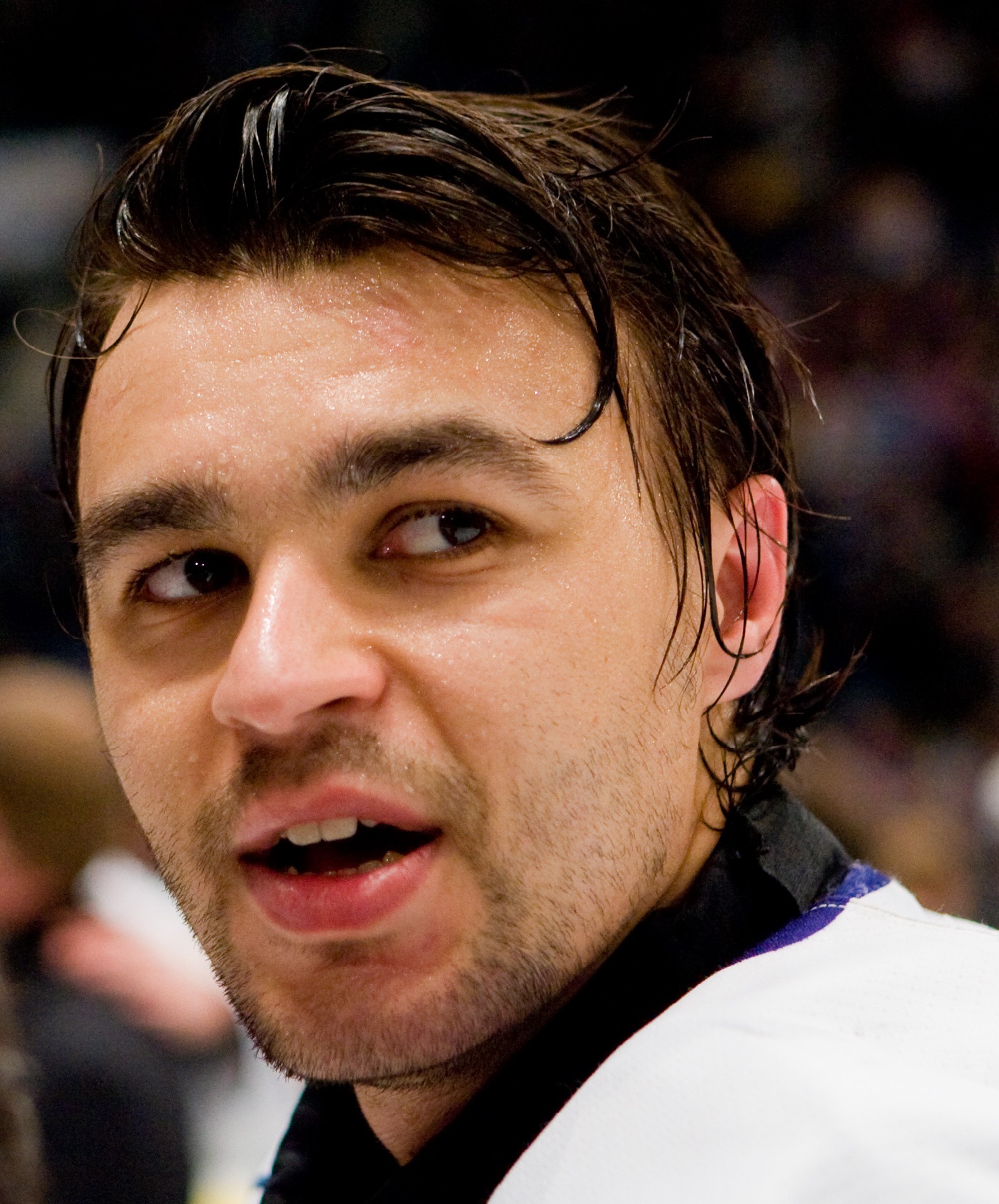 Stefan Liv Net Worth 2018: What is this ice hockey player worth?