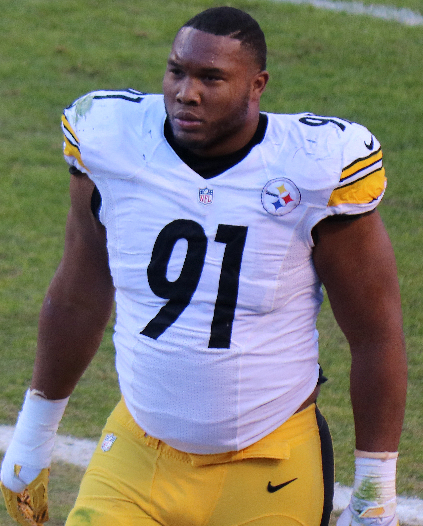 Stephon Tuitt Net Worth 2018: What is this NFL football player worth?
