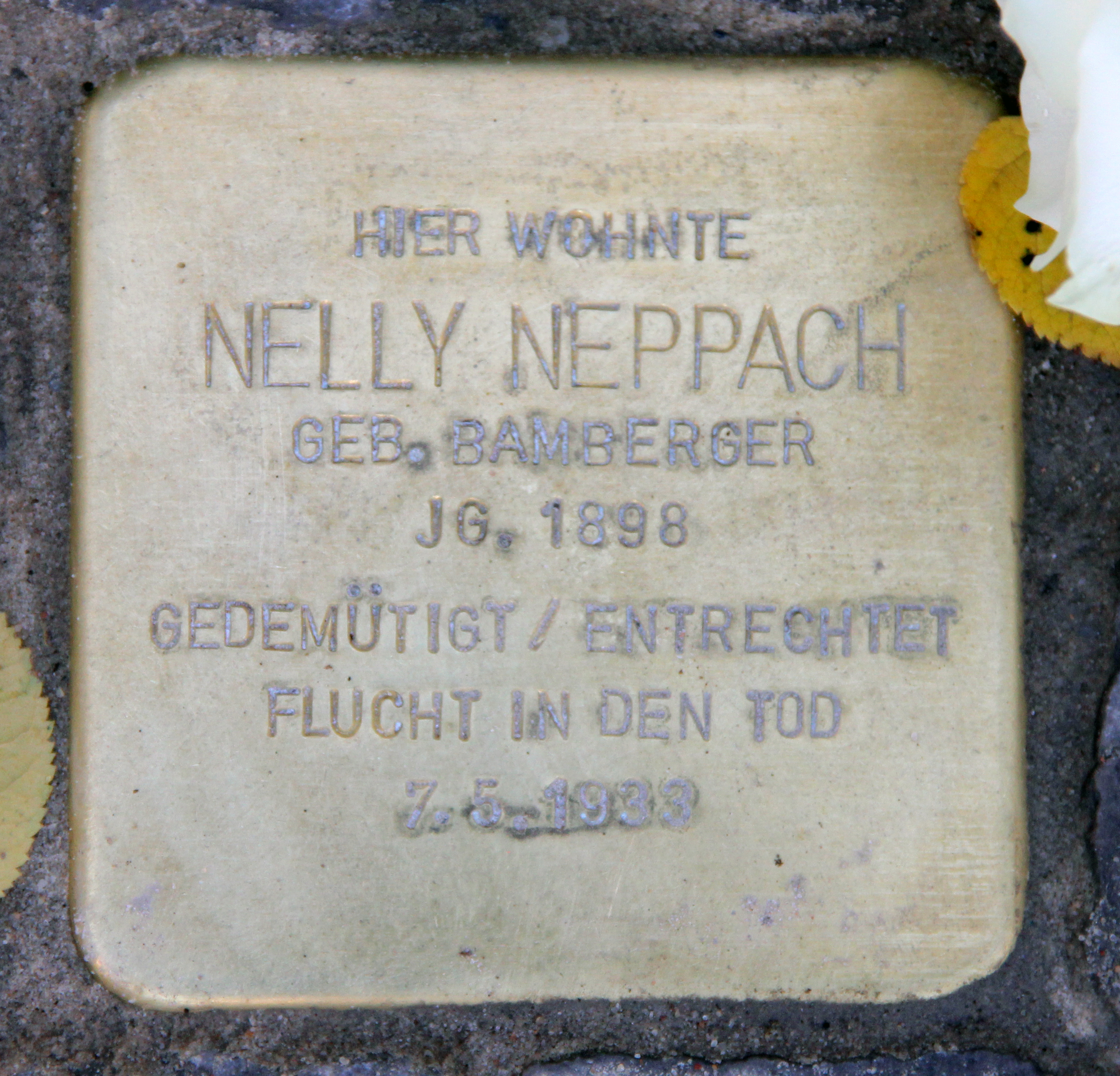 Nelly Neppach Net Worth 2018: What is this tennis player worth?