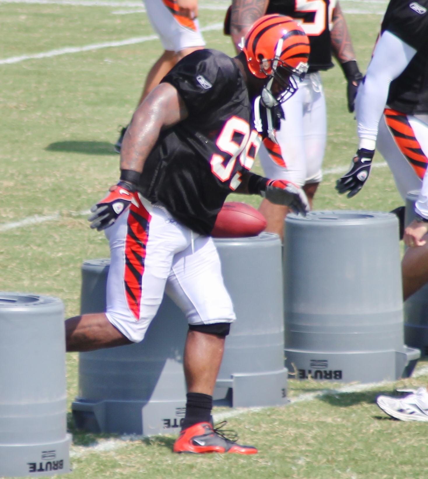 Tank Johnson Net Worth 2018: What is this NFL football player worth?