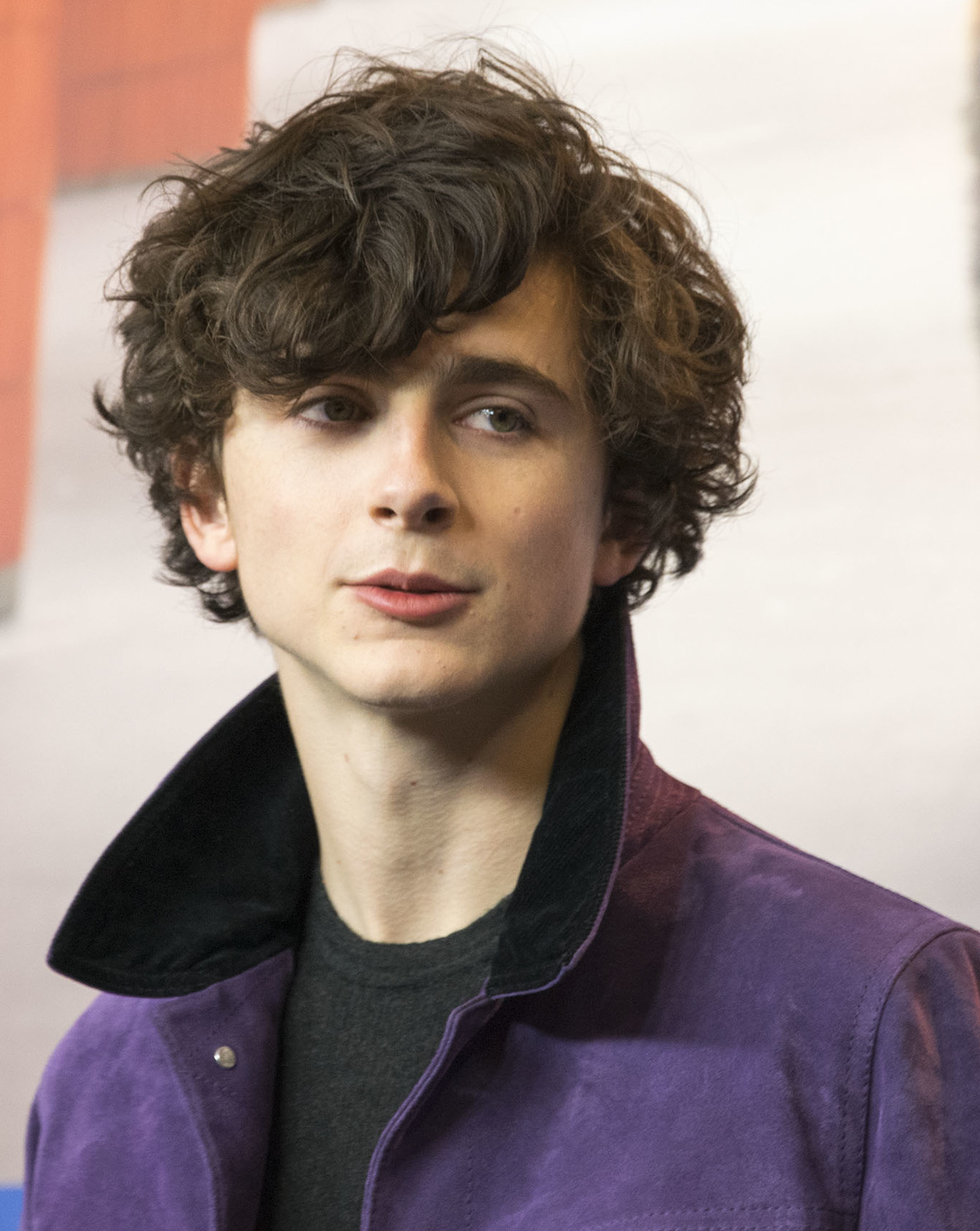 Timothee Chalamet Net Worth