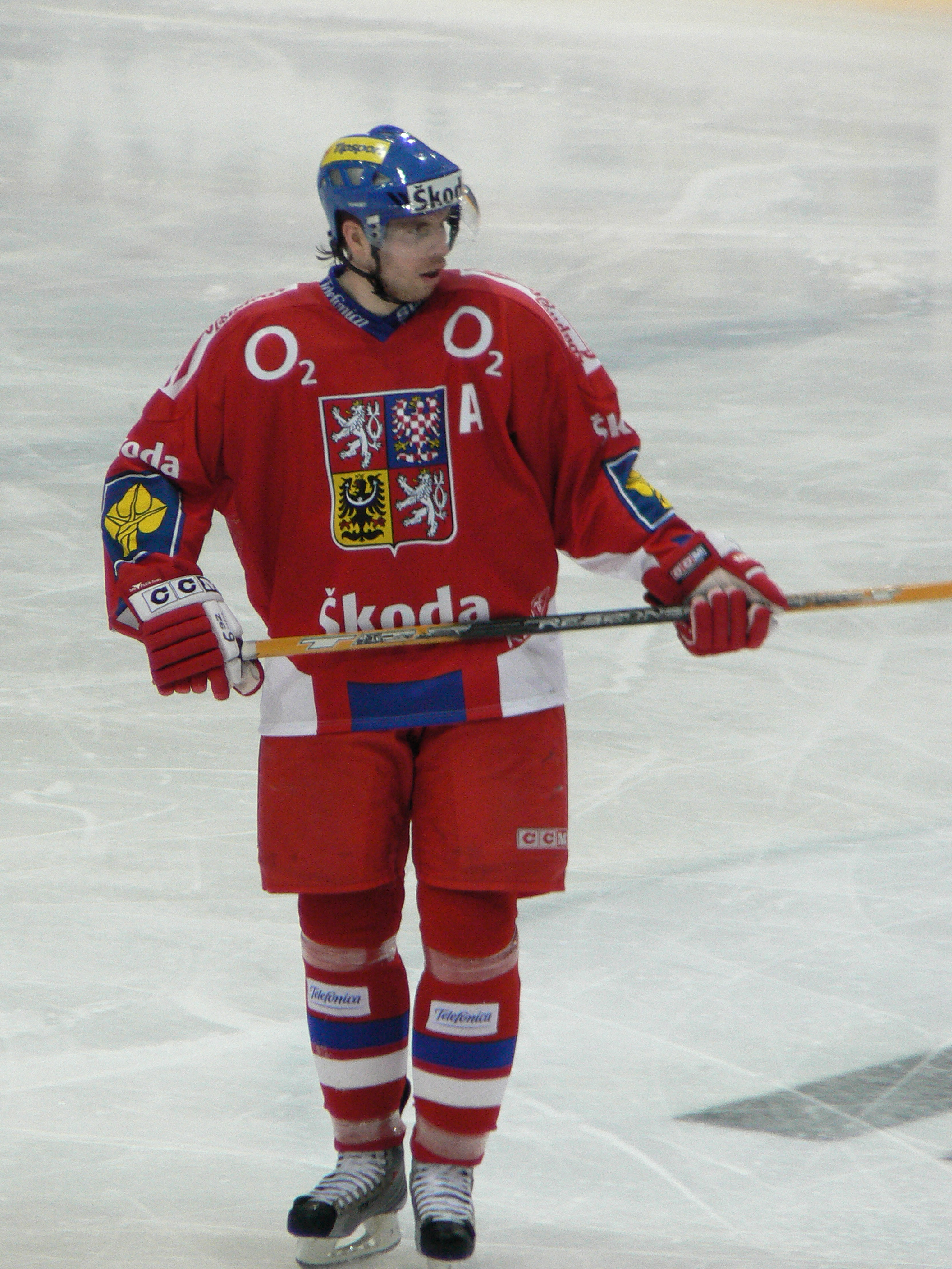 Tomáš Žižka Net Worth 2018: What is this ice hockey player worth?