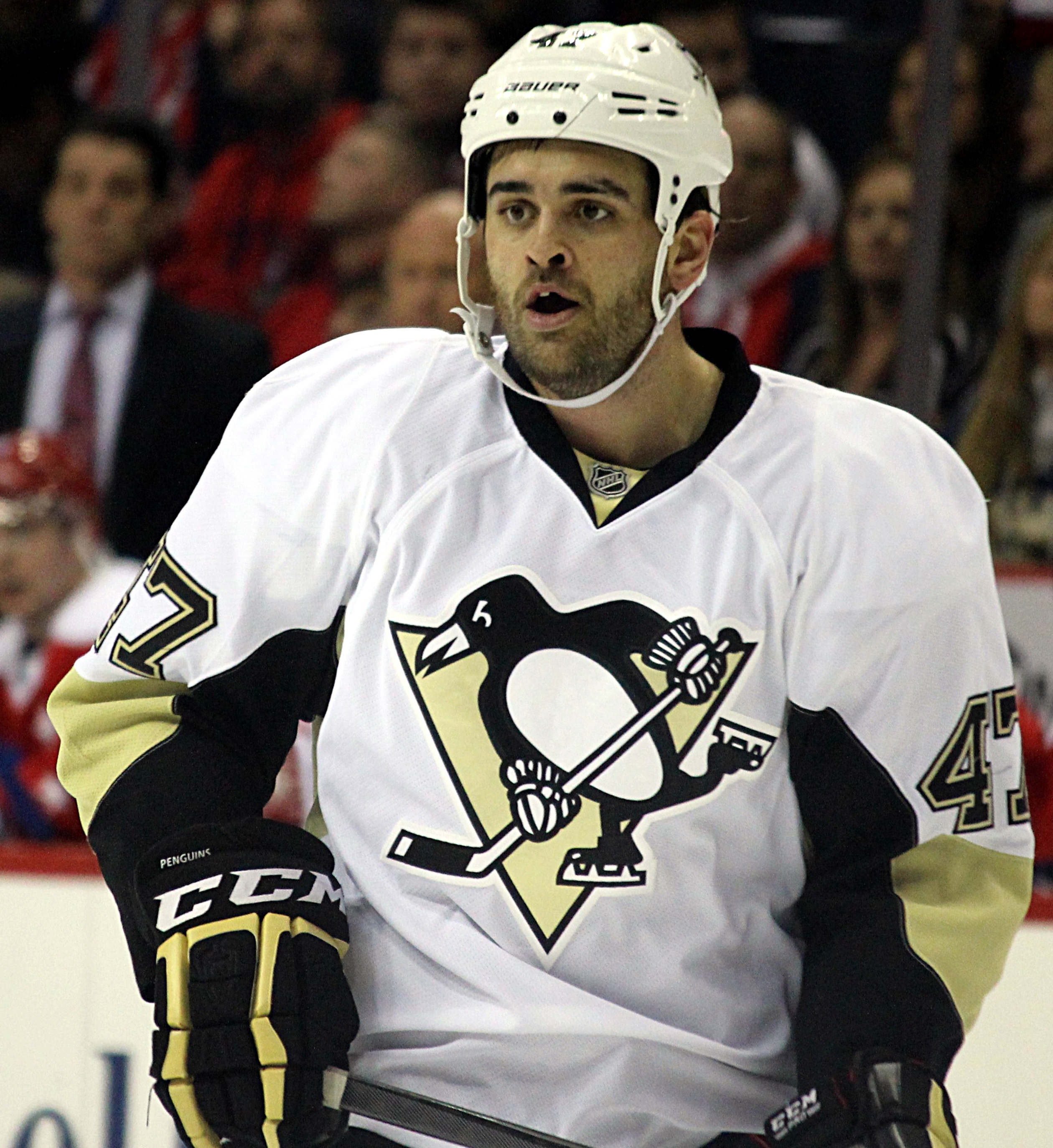 Tom Sestito Net Worth 2018: What is this ice hockey player worth?