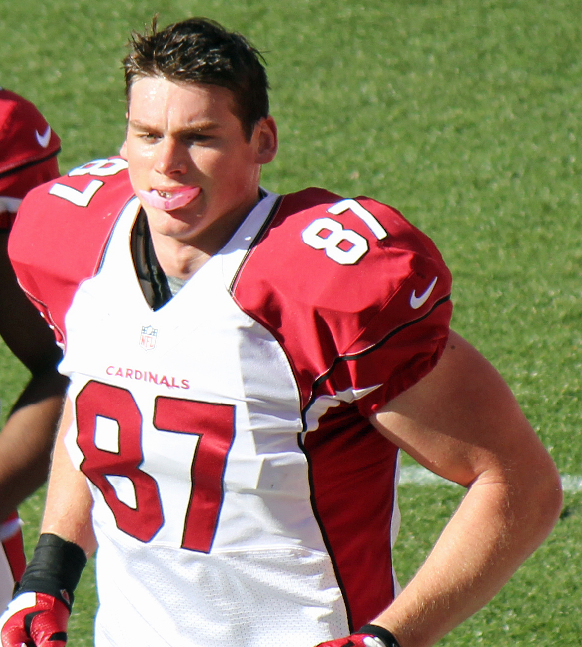 Troy Niklas Net Worth 2018: What is this NFL football player worth?
