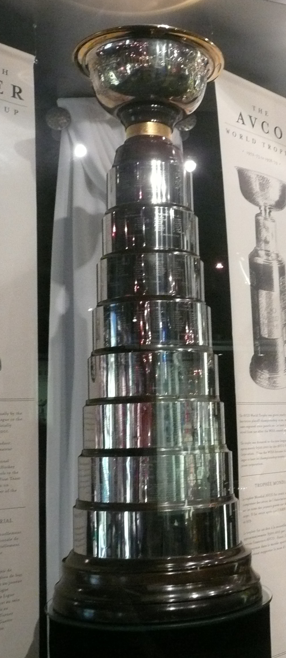 Lee Norwood Net Worth 2018: What is this ice hockey player worth?