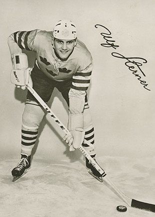 Ulf Sterner Net Worth 2018: What is this ice hockey player worth?