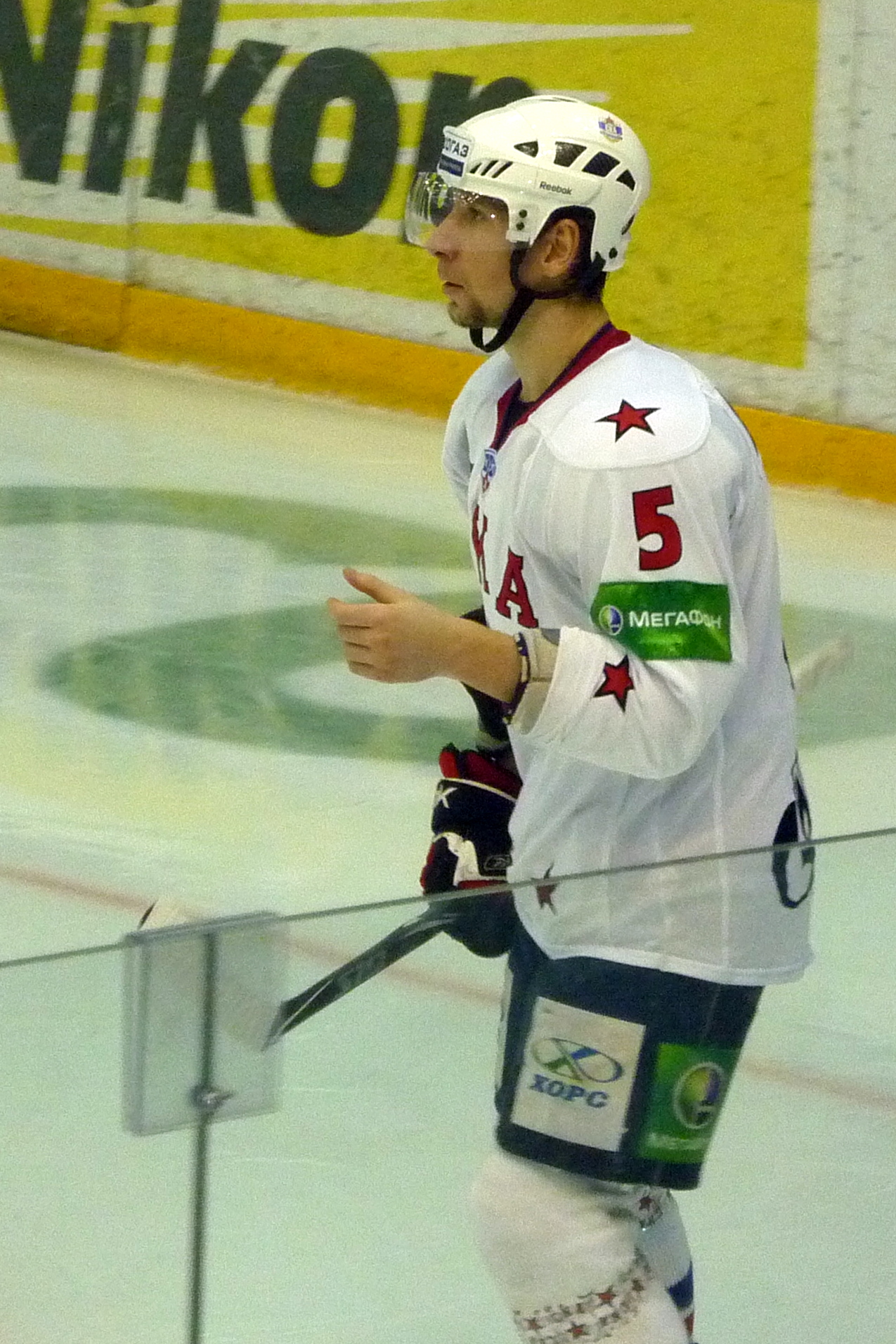 Vitaly Vishnevskiy Net Worth 2018: What is this ice hockey player worth?