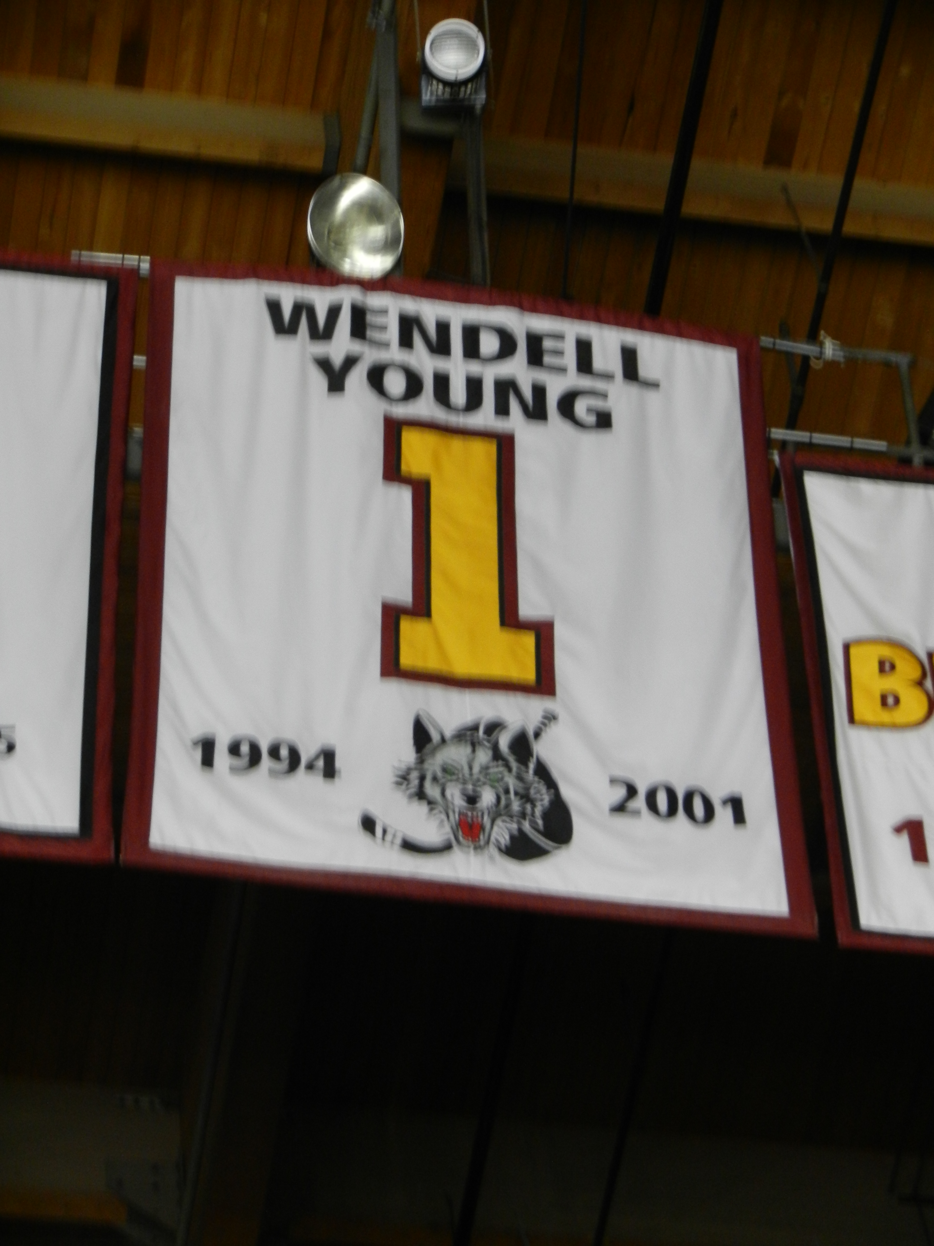 Wendell Young Net Worth 2018: What is this ice hockey player worth?